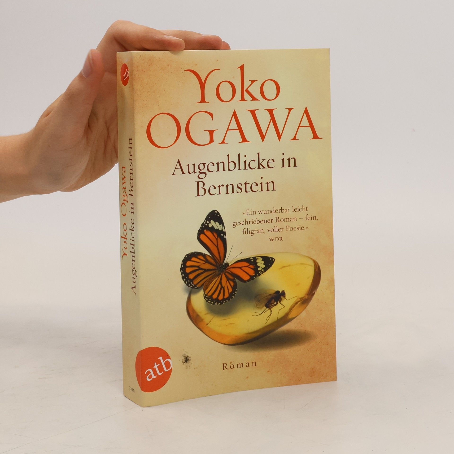 Yōko Ogawa Augenblicke in Bernstein