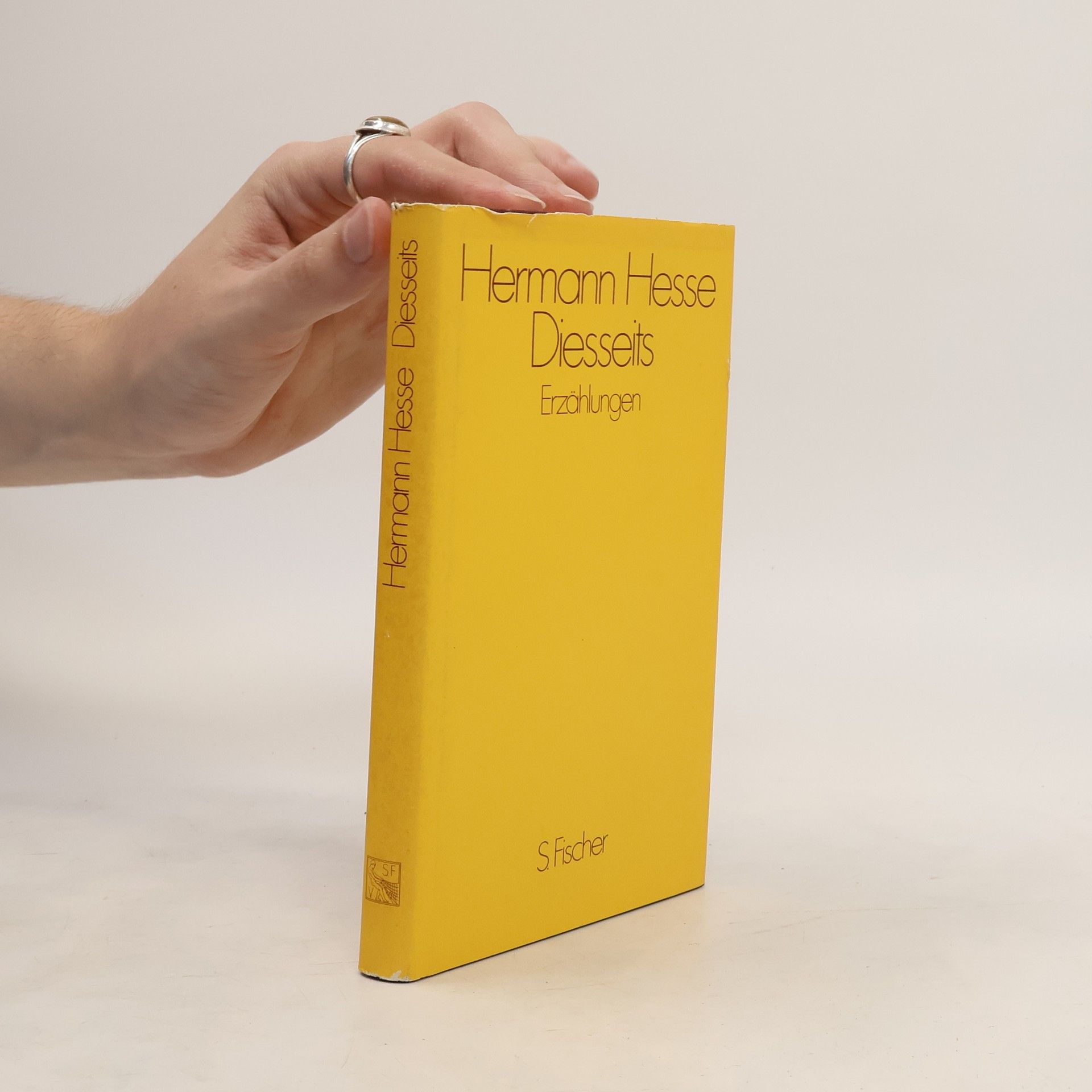 Hermann Hesse Diesseits