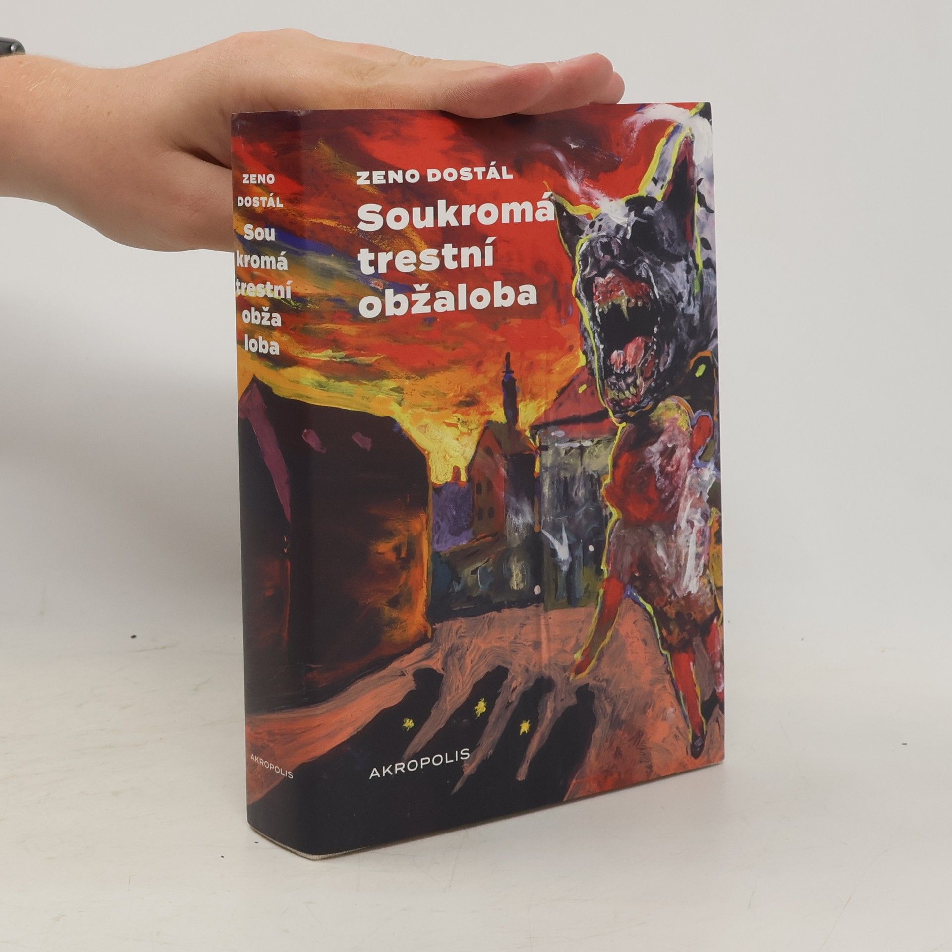Boris Jirků Soukromá trestní obžaloba
