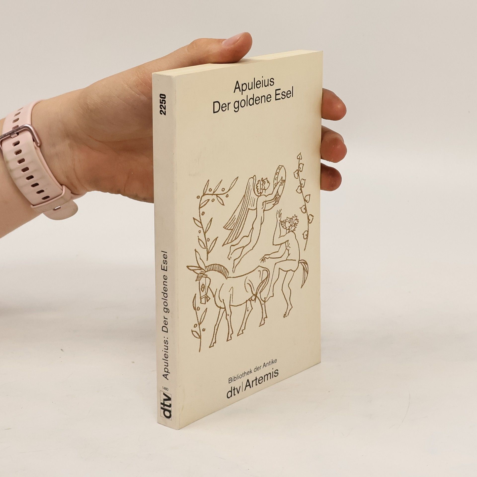 Apuleius Der goldene Esel
