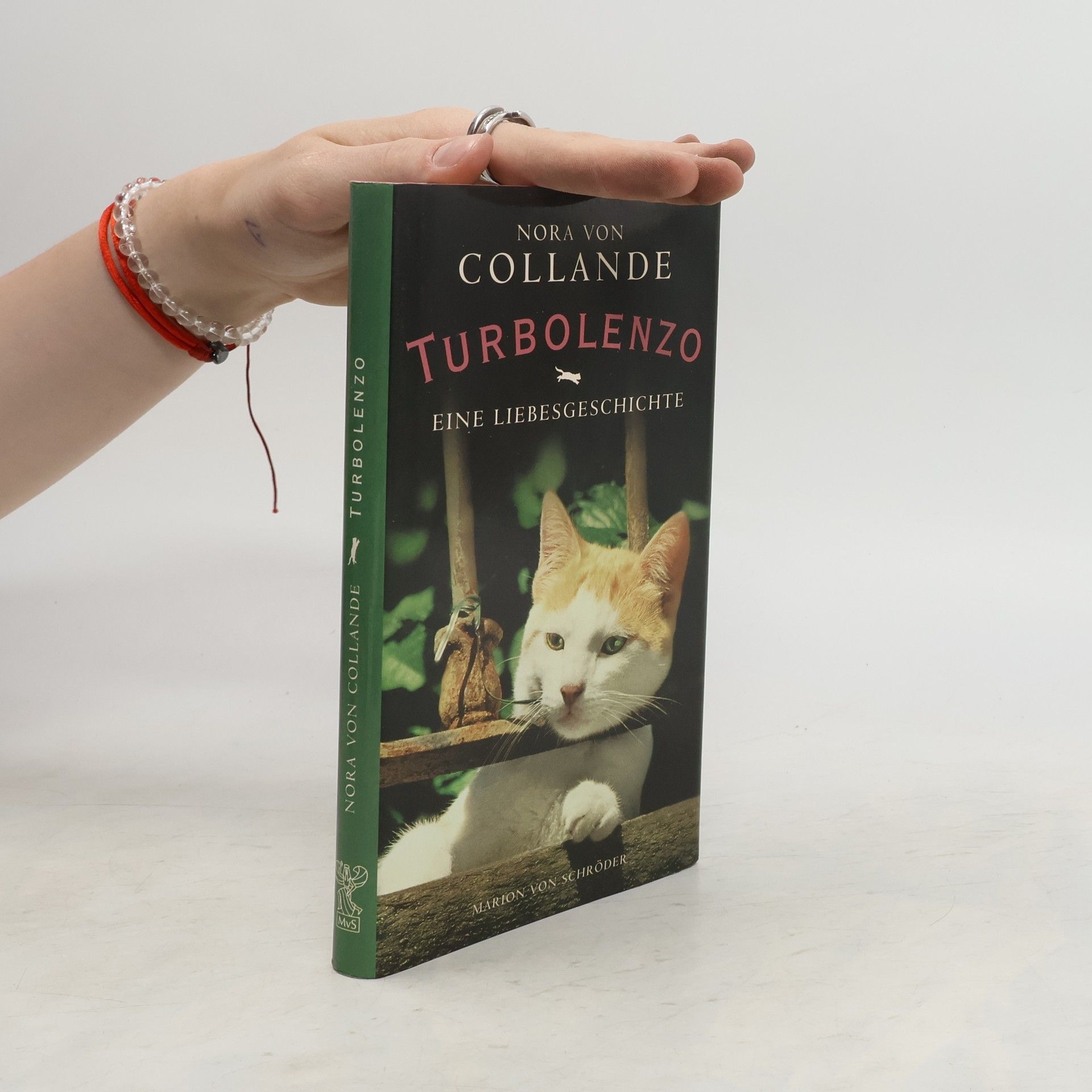 Nora von Collande Turbolenzo