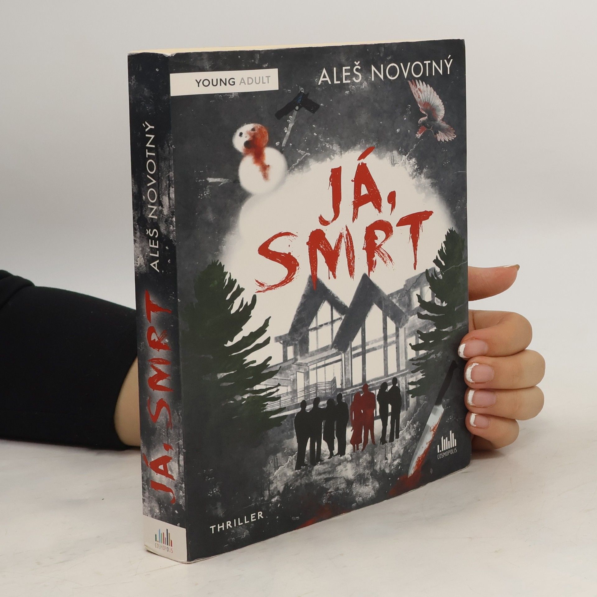 Aleš Novotný Já, Smrt