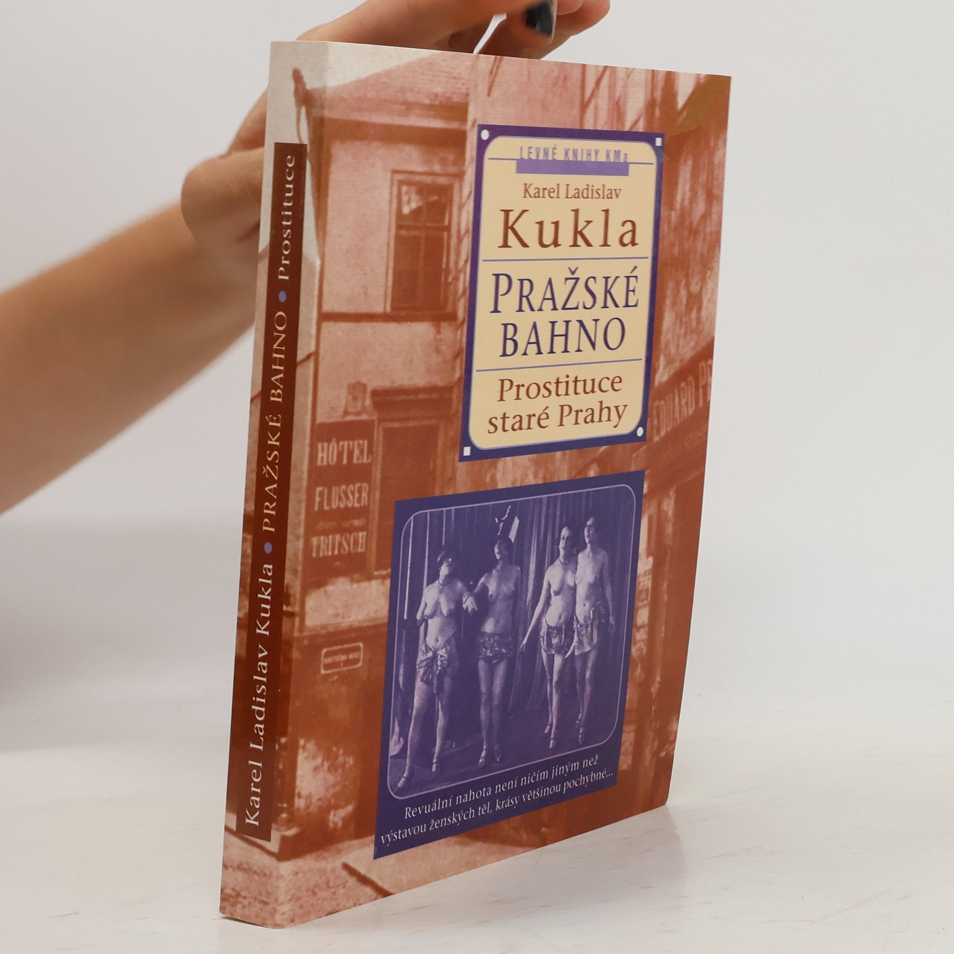 Karel Ladislav Kukla Pražské bahno. 1. díl, Pražská prostituce