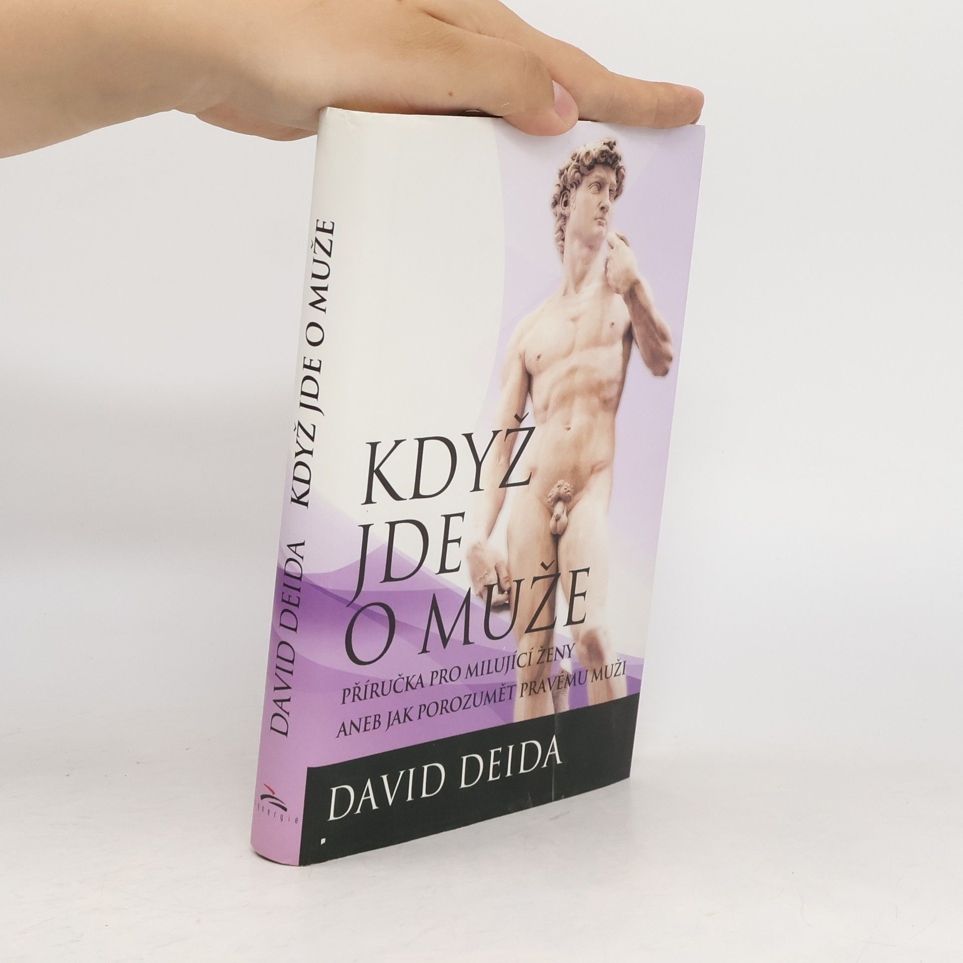 David Deida Když jde o muže