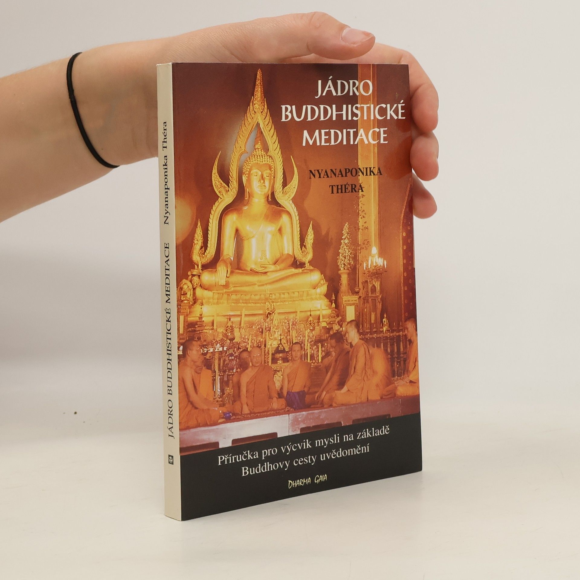 Karel Werner Jádro buddhistické meditace : satipatthána : příručka pro výcvik mysli na základě Buddhovy cesty uvědomění : s antologií textů přeložených z pálijštiny a sanskrtu