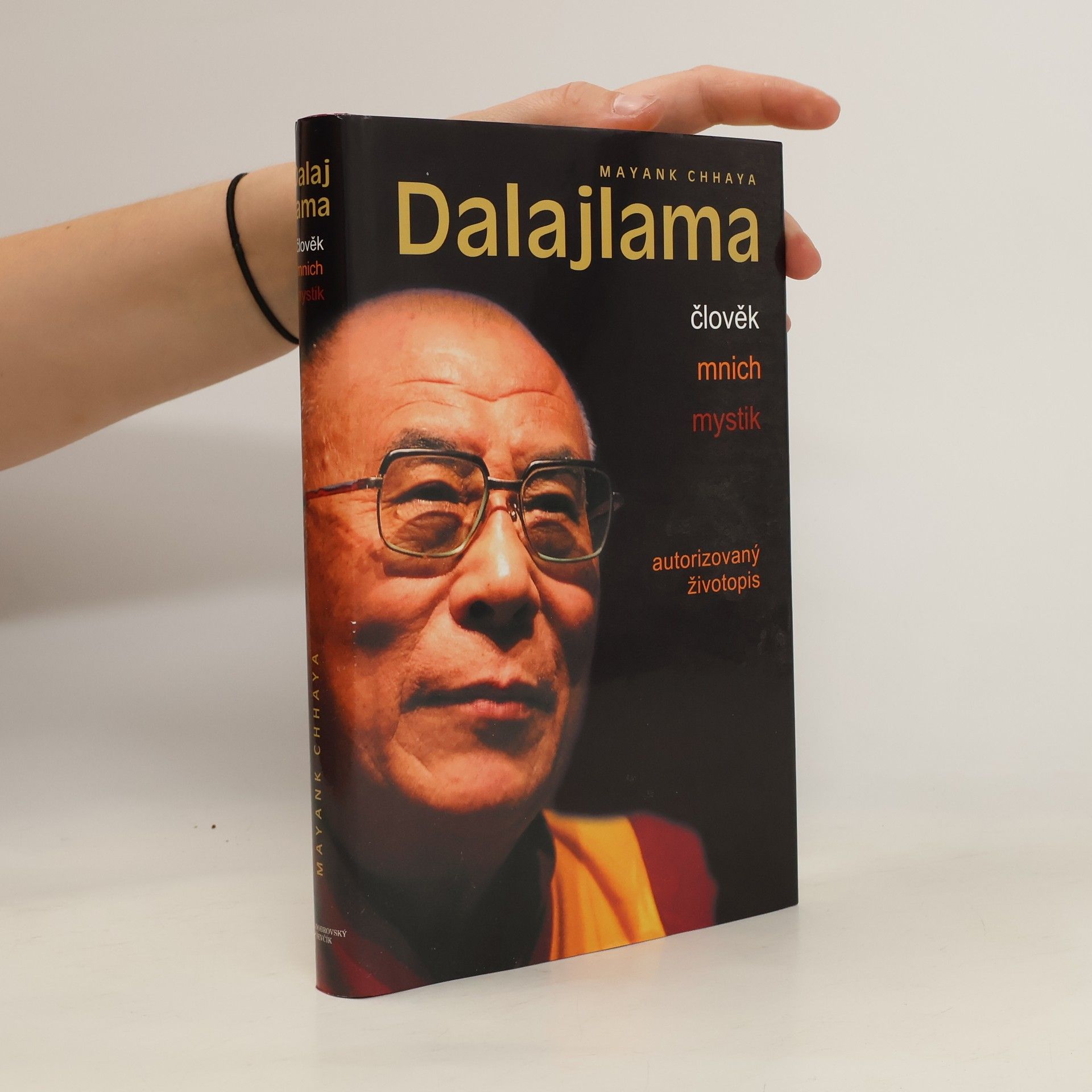 Mayank Chhaya Dalajlama. Člověk, mnich, mystik