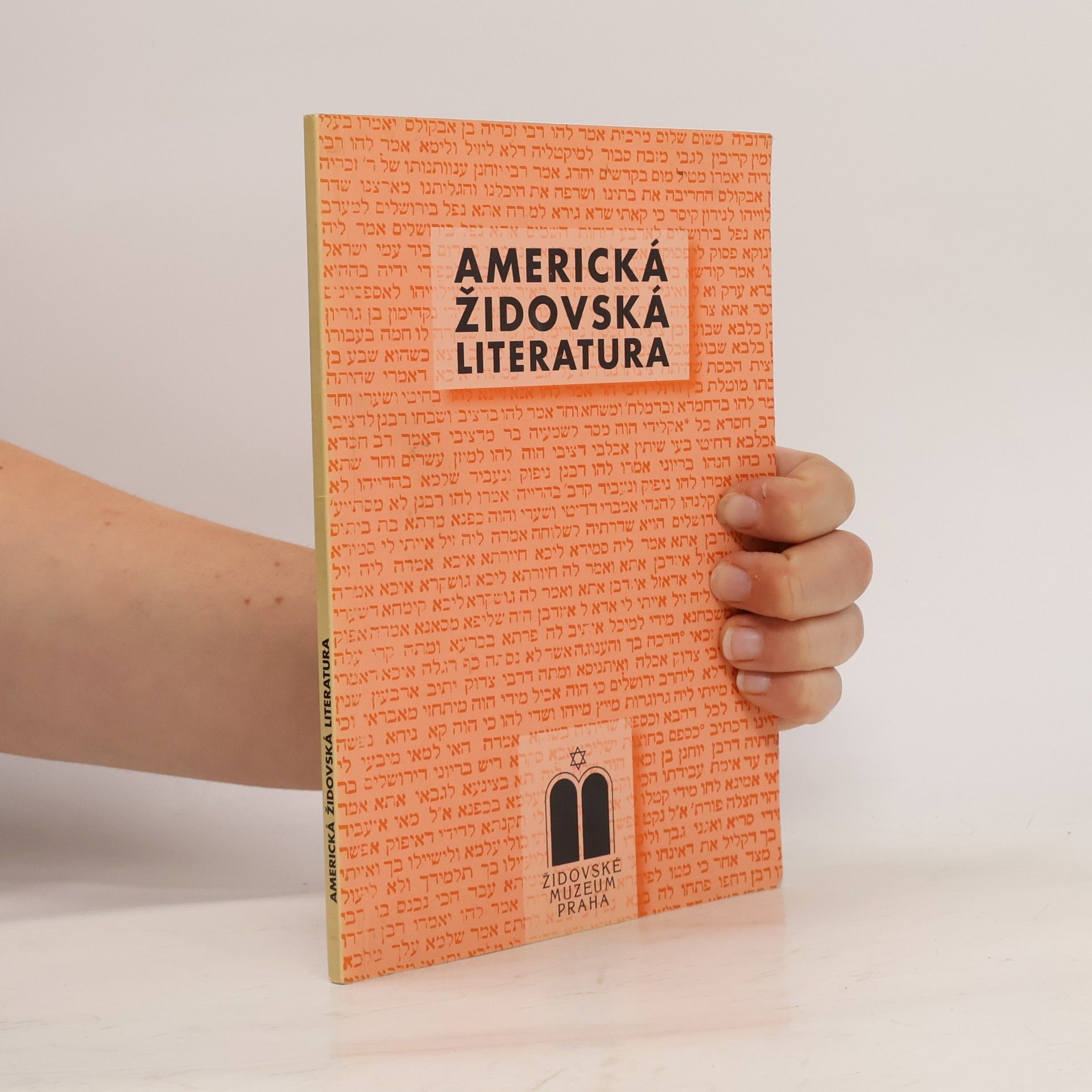 Hana Ulmanová Americká židovská literatura