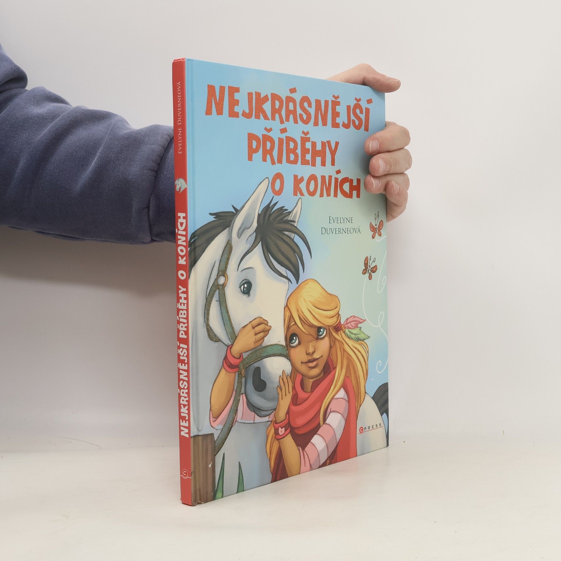 Collectif d'auteurs Nejkrásnější příběhy o koních