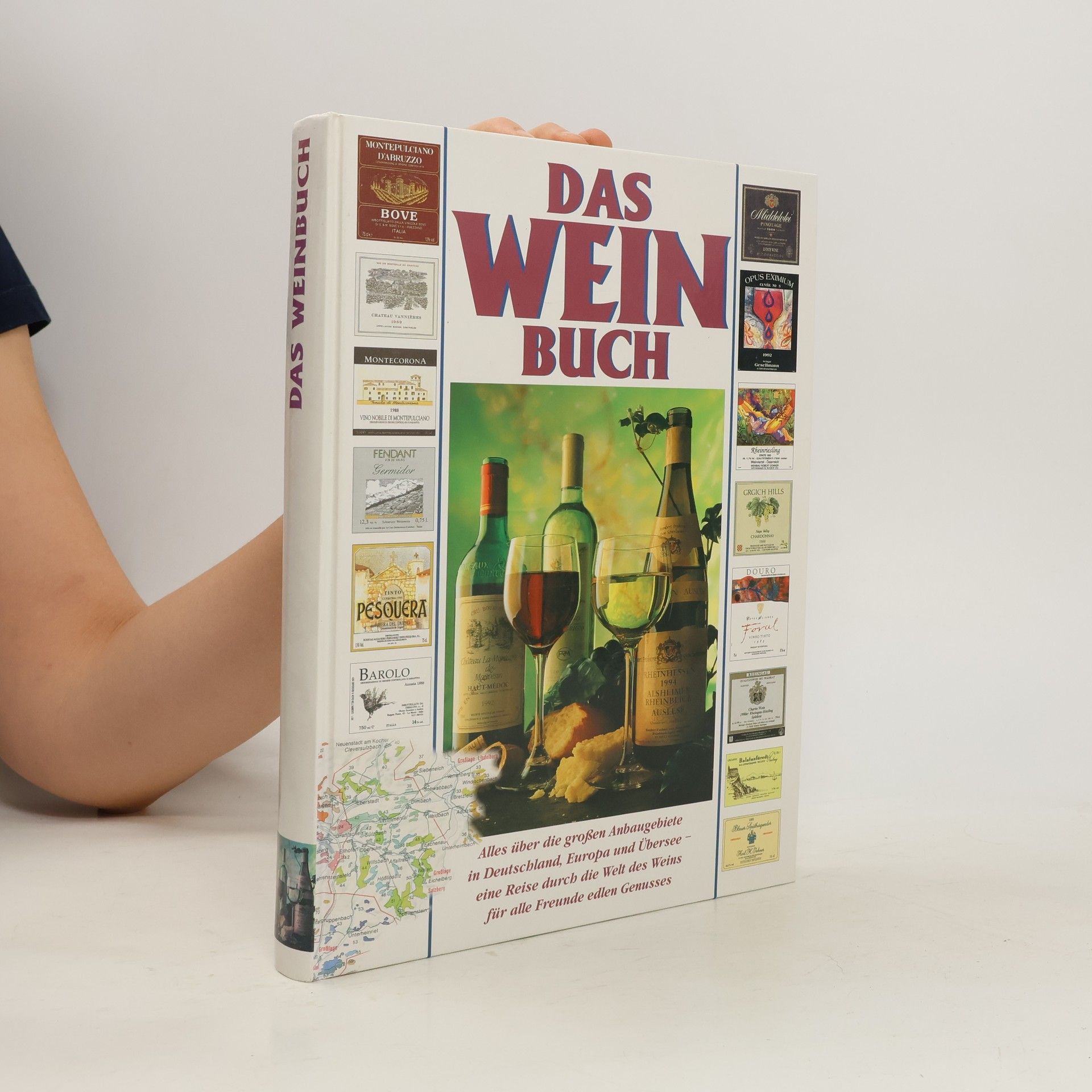 kolektiv Das Wein Buch