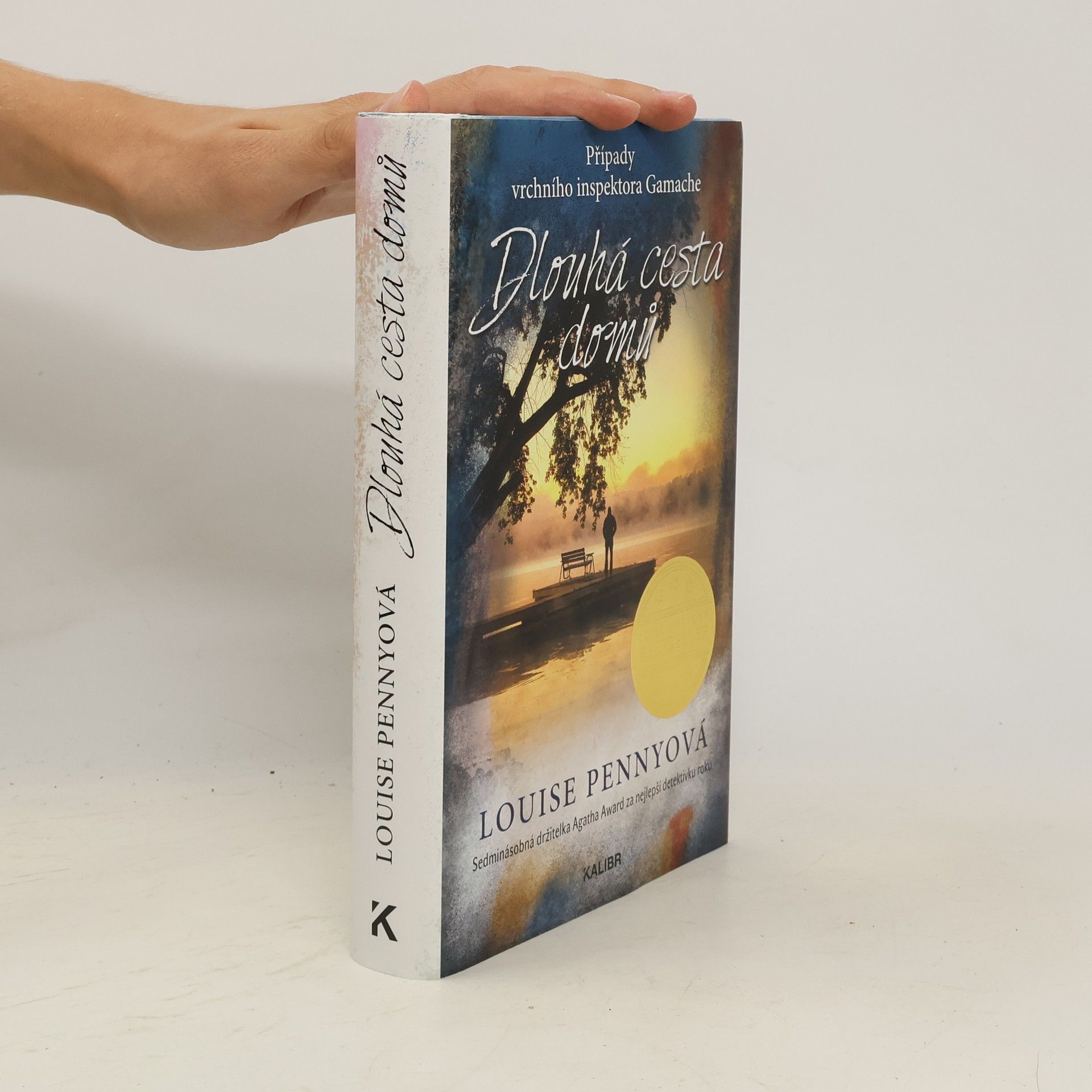 Louise Penny Dlouhá cesta domů