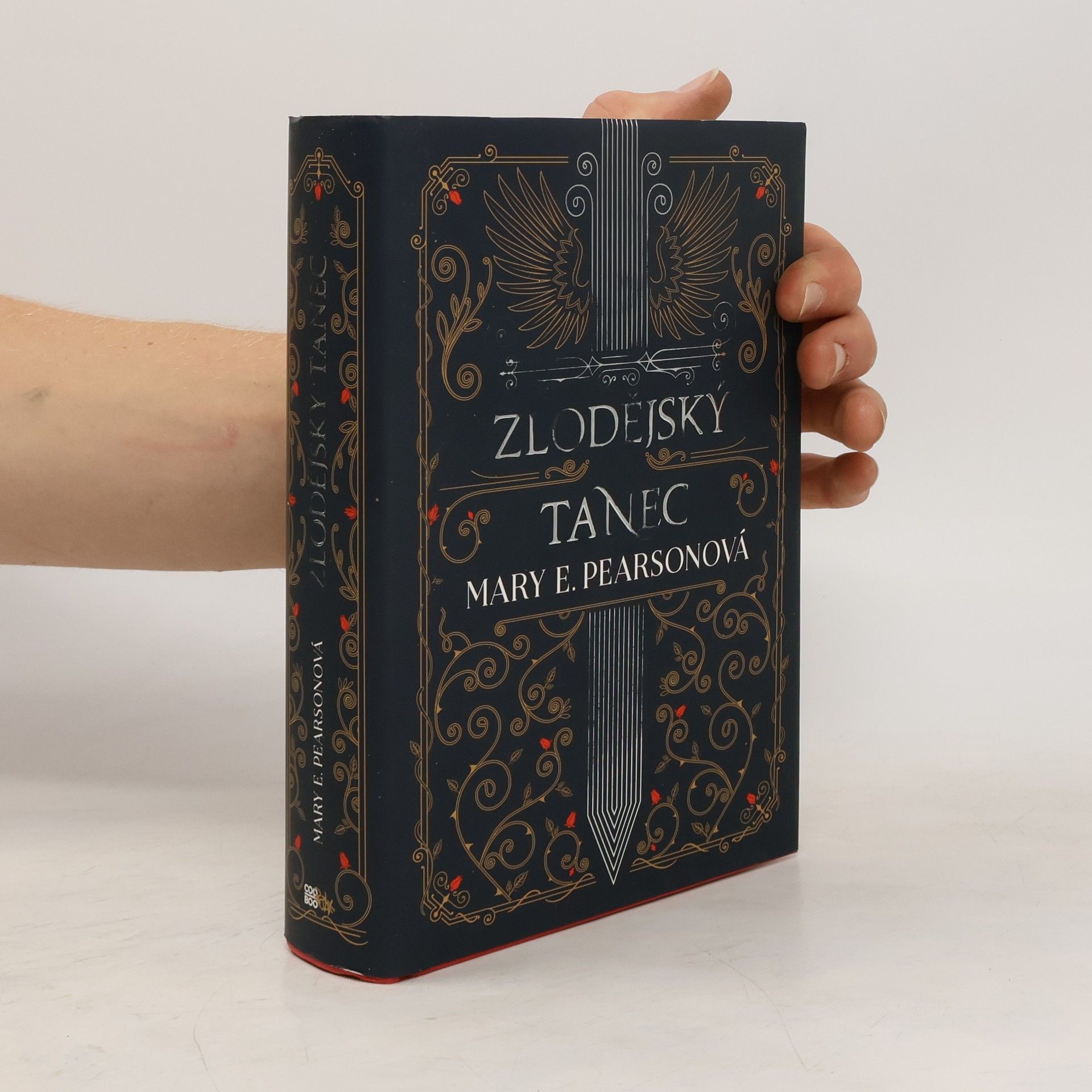 Mary E. Pearson Zlodějský tanec