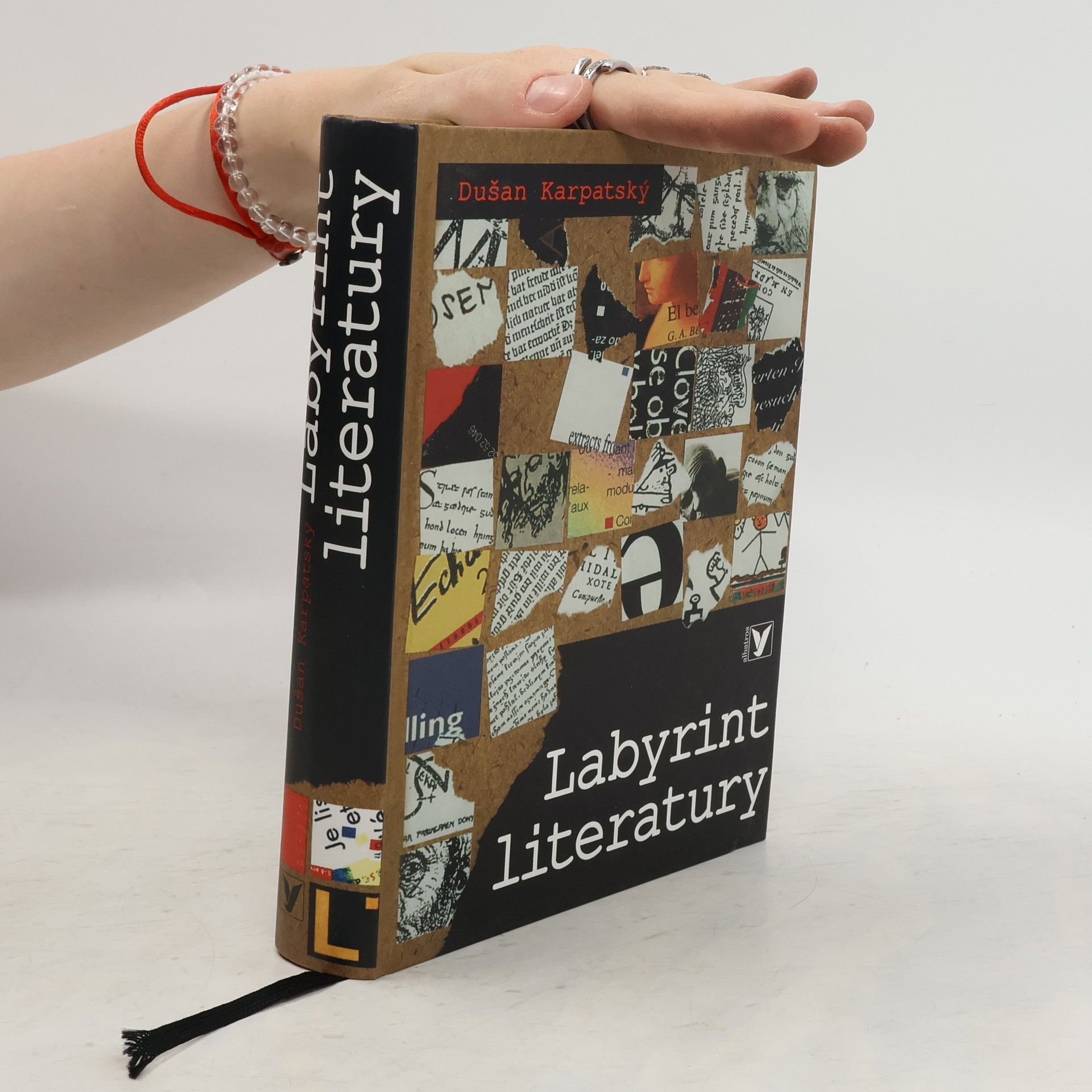 Dušan Karpatský Labyrint literatury