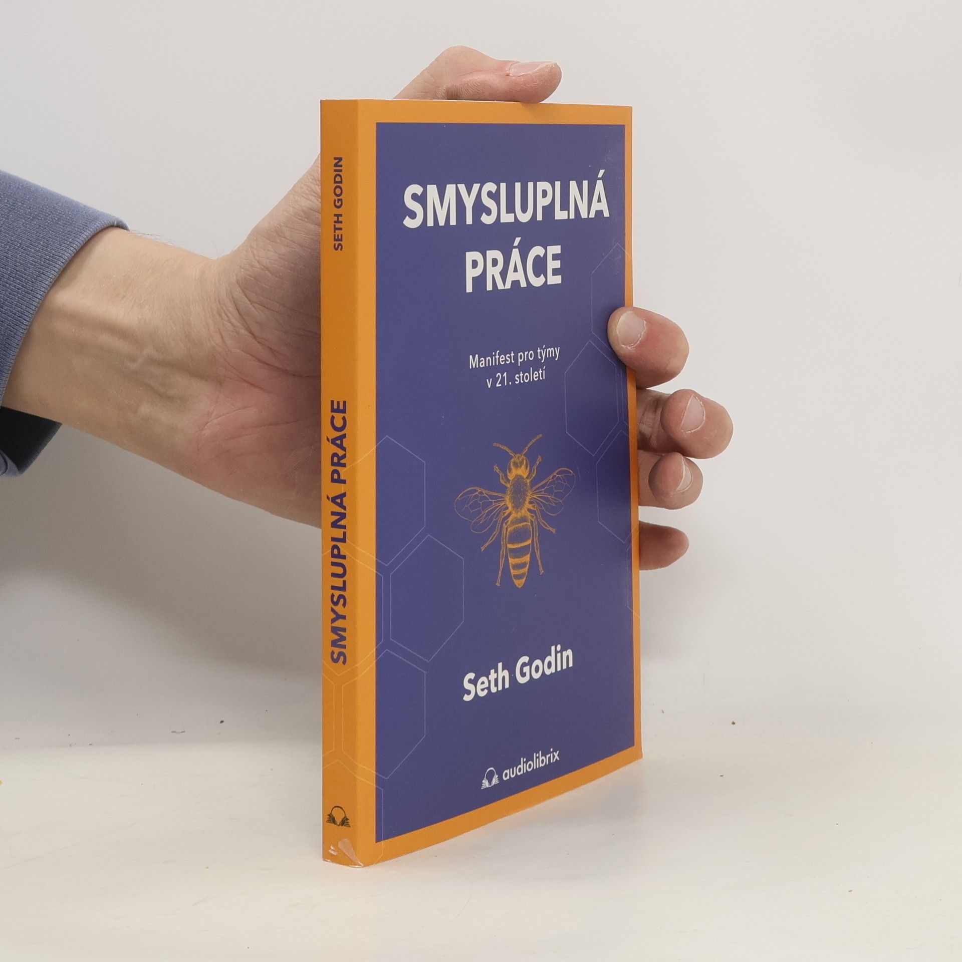 Seth Godin Smysluplná práce : manifest pro týmy v 21. století