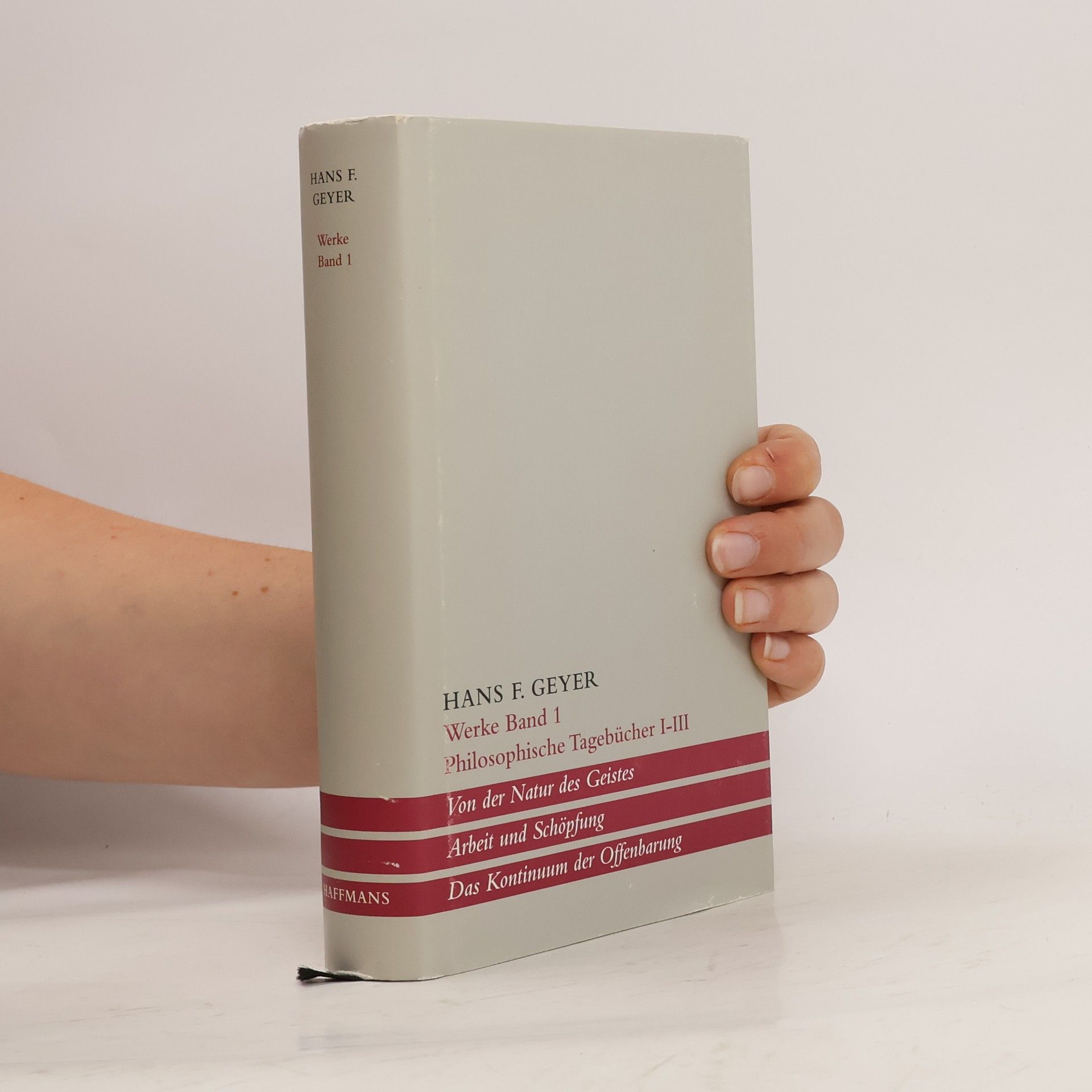 Hans F. Geyer Werke 1. Philosophische Tagebücher I - III.