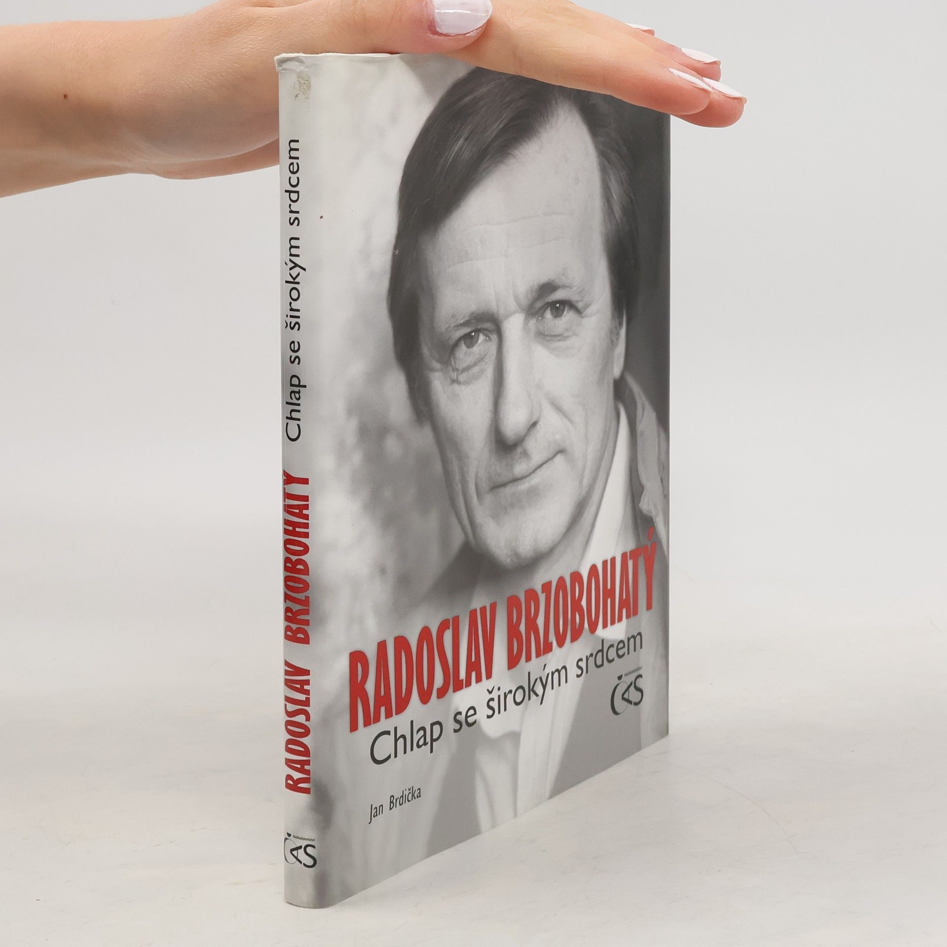 Jan Brdička Radoslav Brzobohatý – Chlap se širokým srdcem