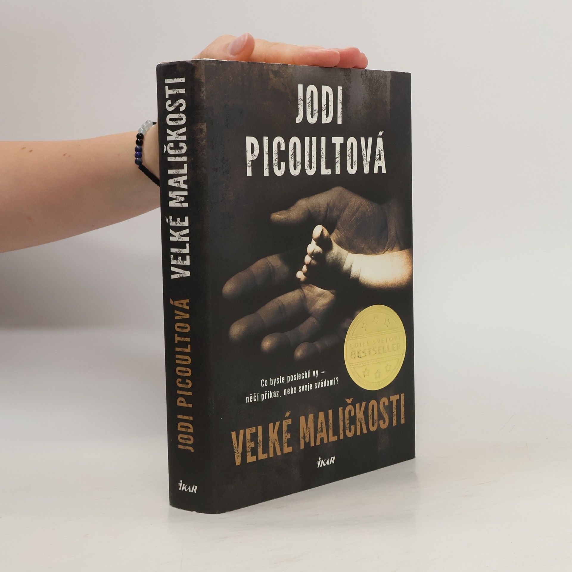 Jodi Picoult Velké maličkosti