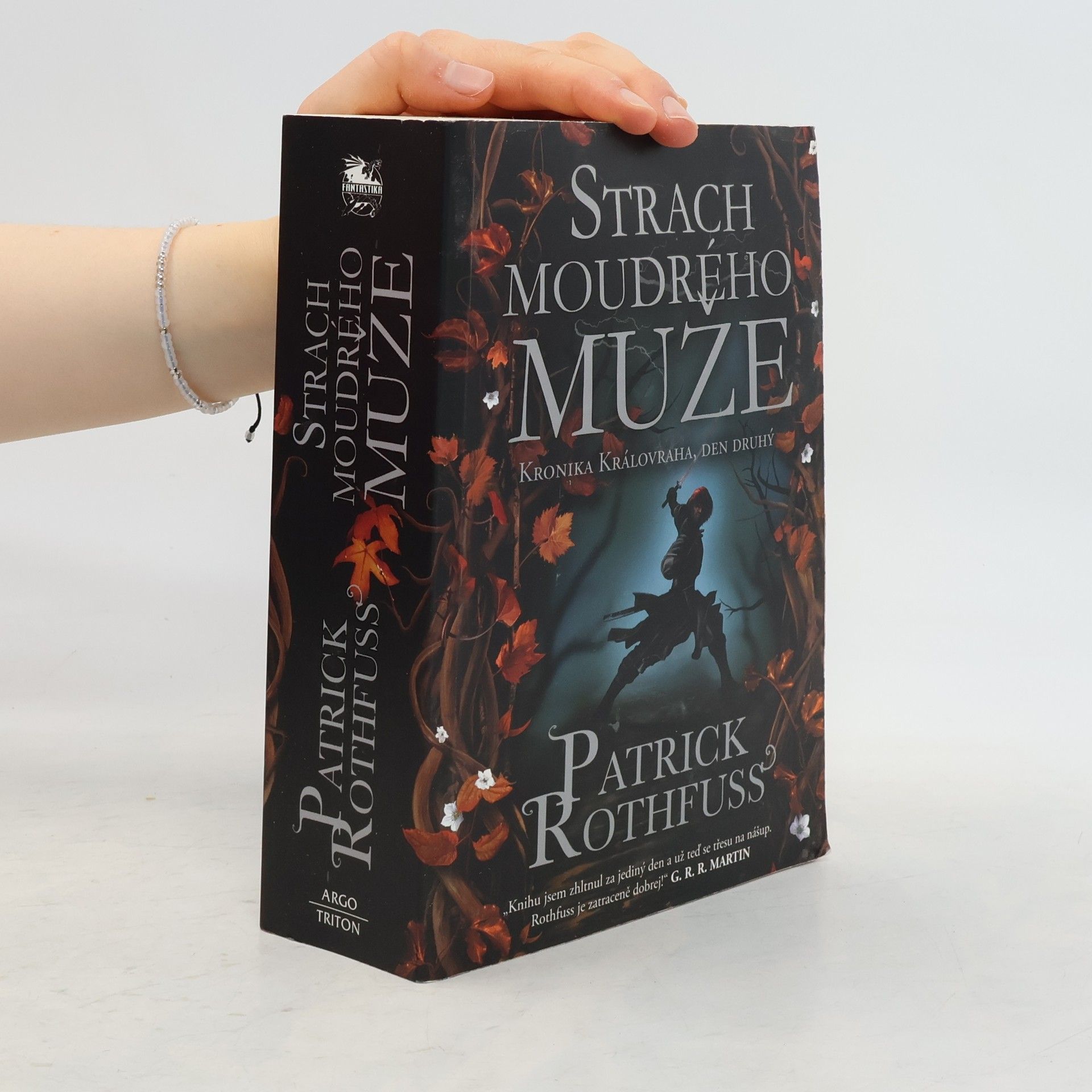 Patrick Rothfuss Strach moudrého muže : kronika Královraha, den druhý