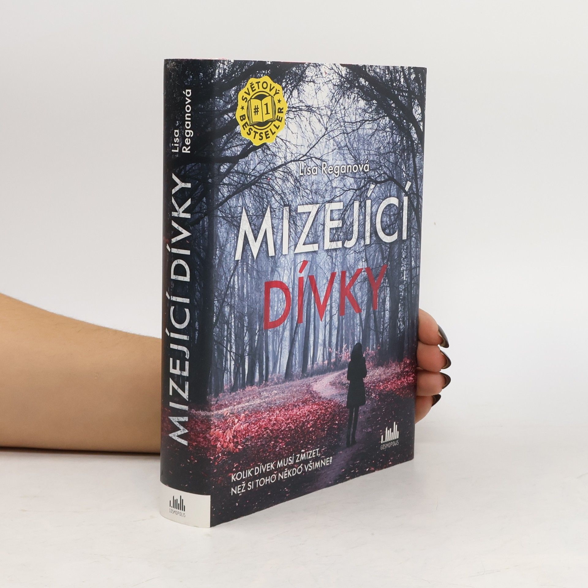 Lisa Regan Mizející dívky