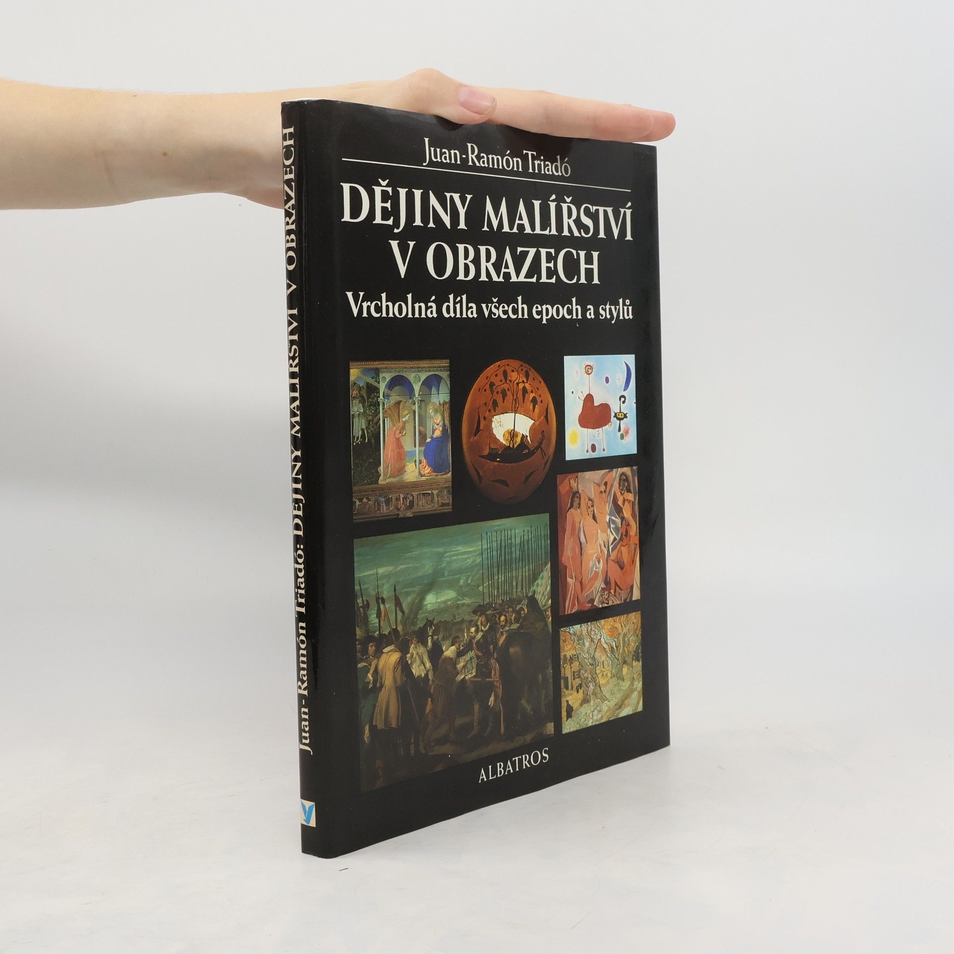 Václav Konečný Dějiny malířství v obrazech : vrcholná díla všech epoch a stylů