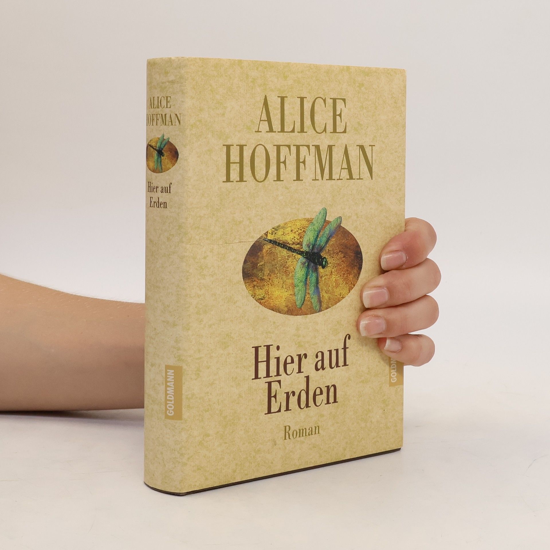 Alice Hoffman Hier auf Erden