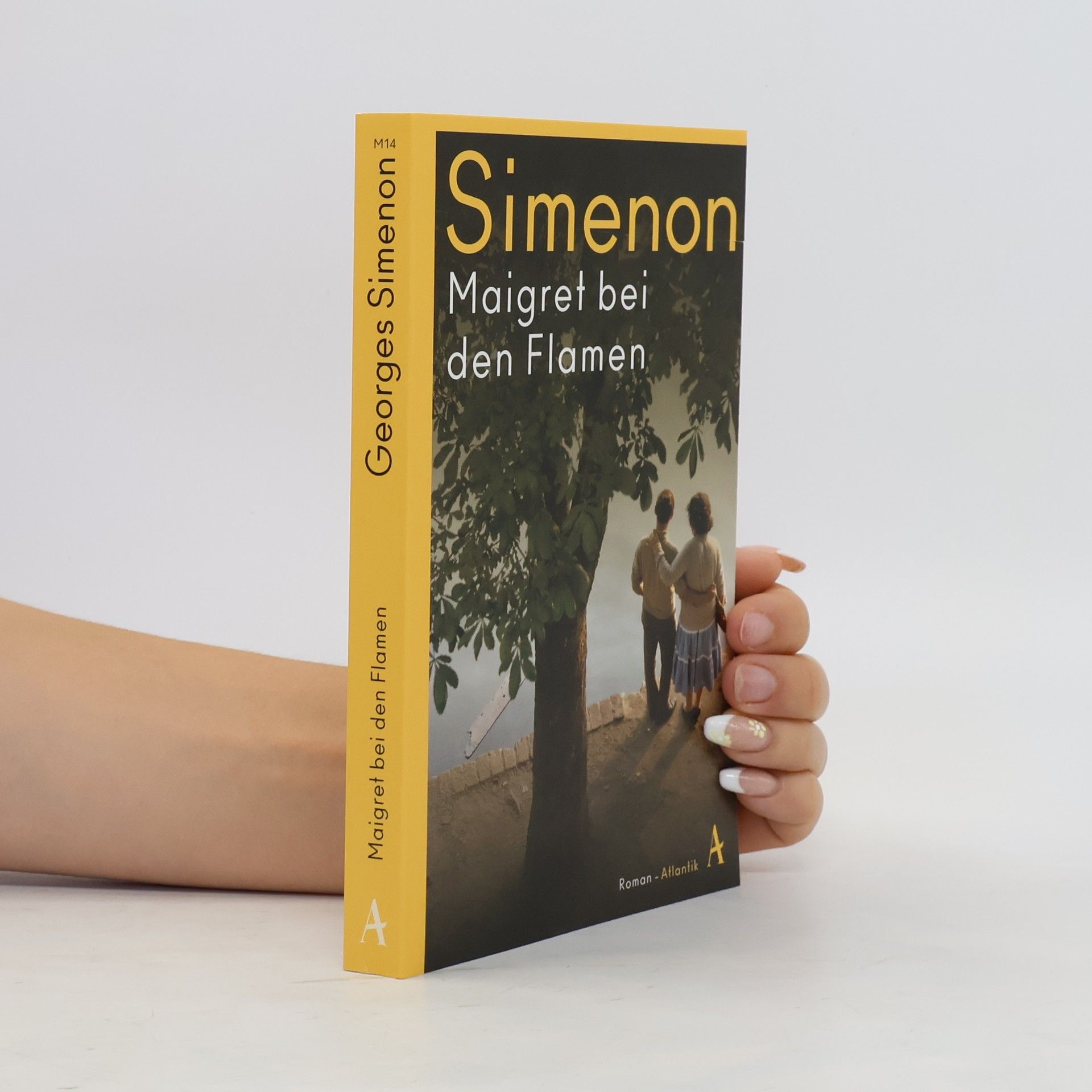 Georges Simenon Maigret bei den Flamen