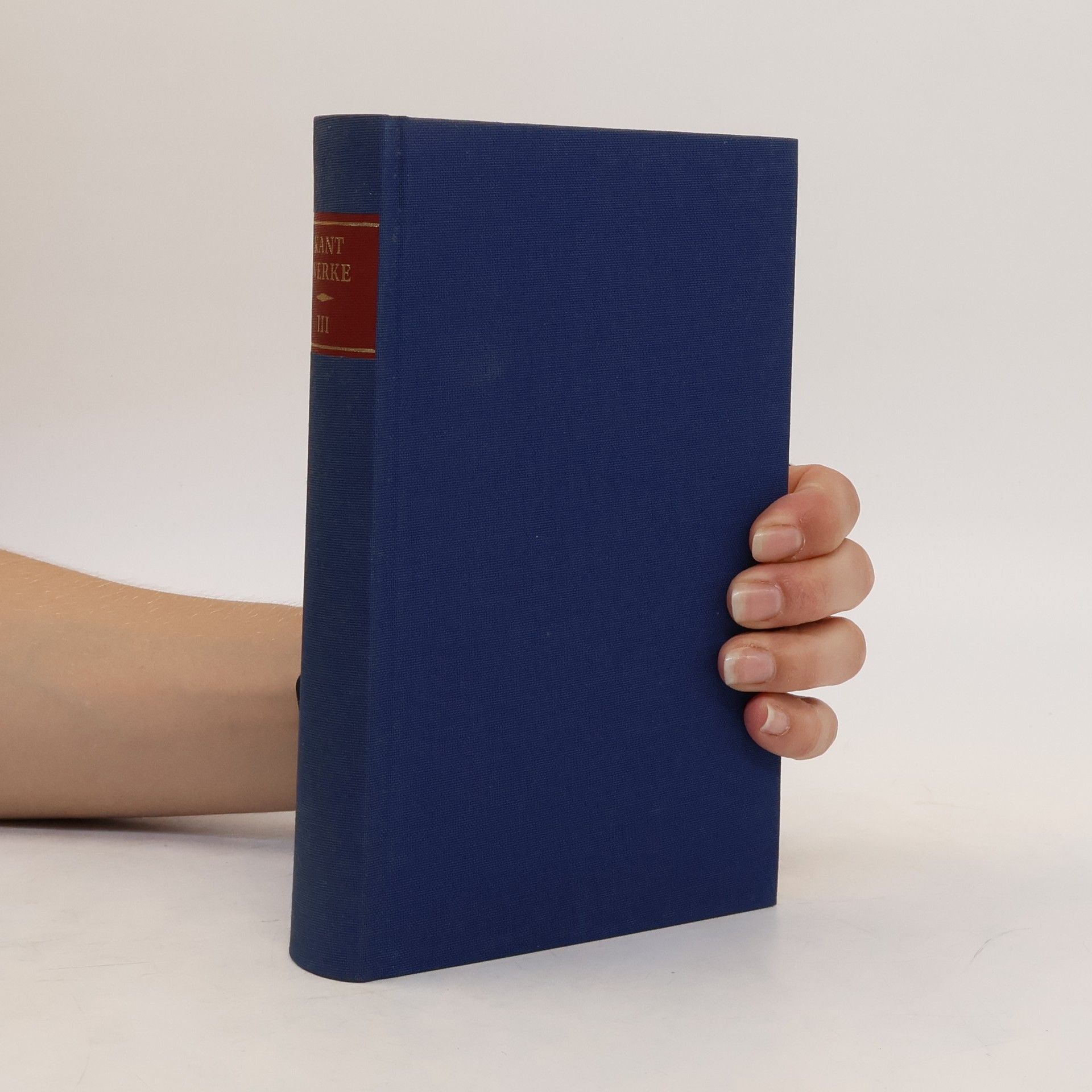 Immanuel Kant Schriften zur Metaphysik und Logik