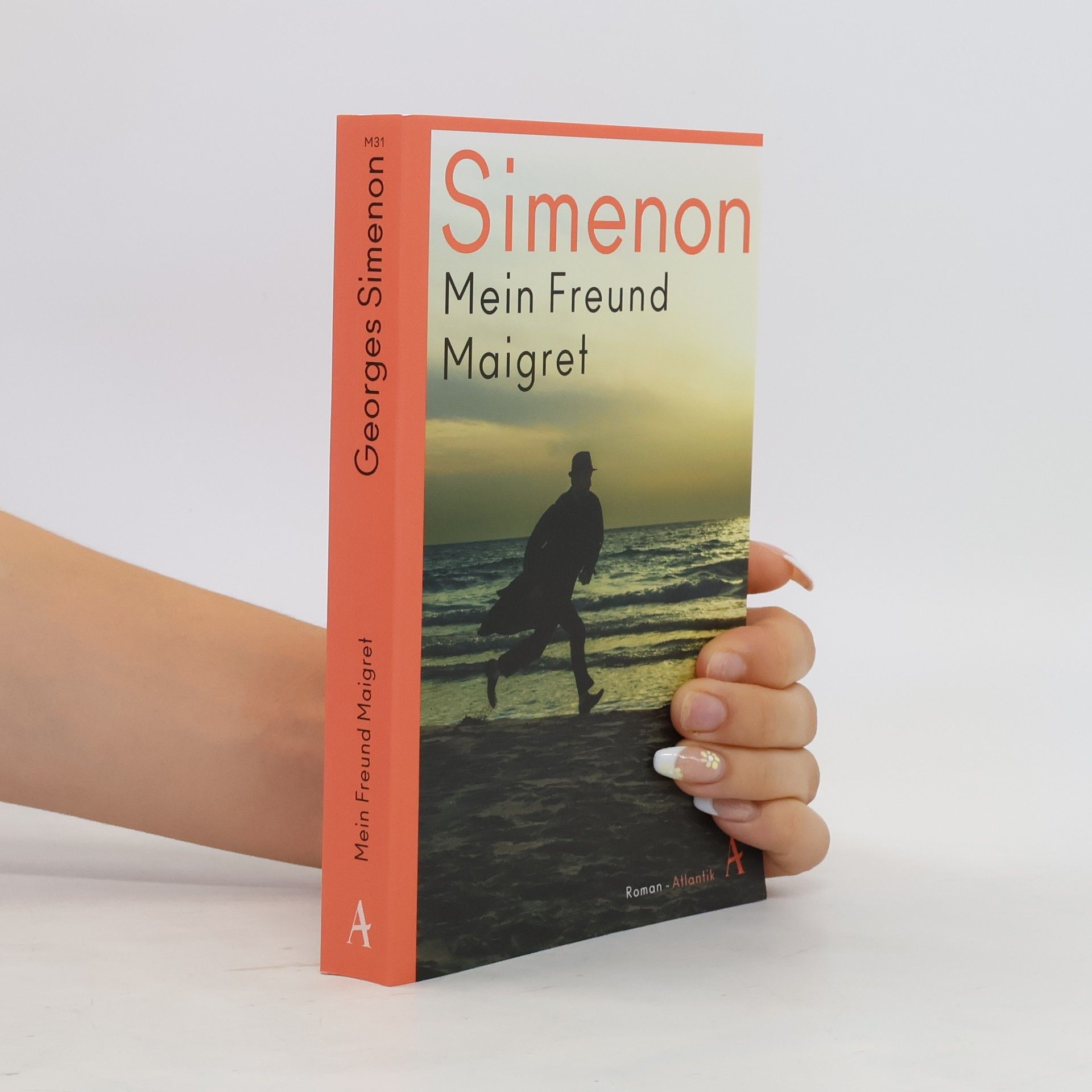 Georges Simenon Mein Freund Maigret