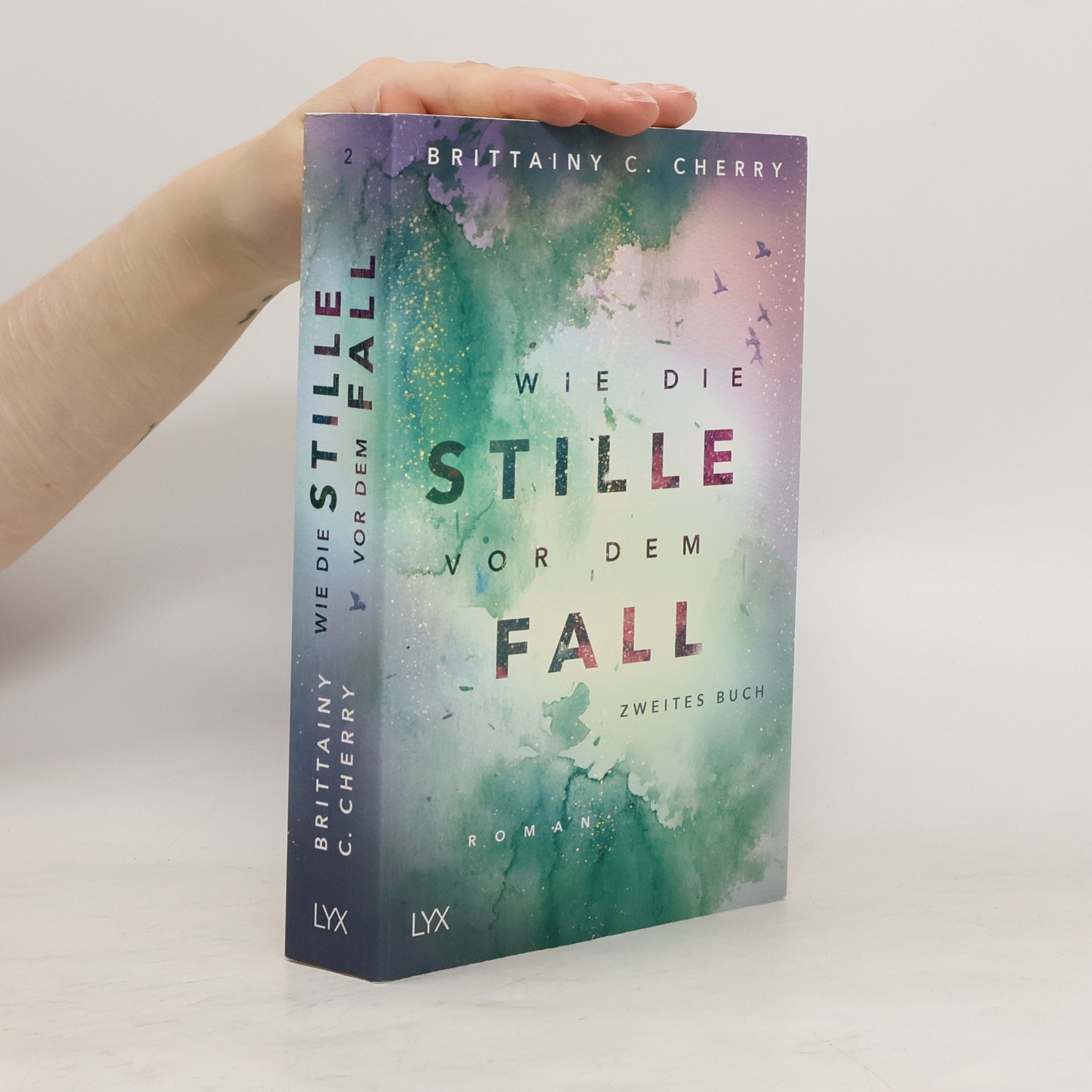 Brittainy C. Cherry Wie die Stille vor dem Fall 2