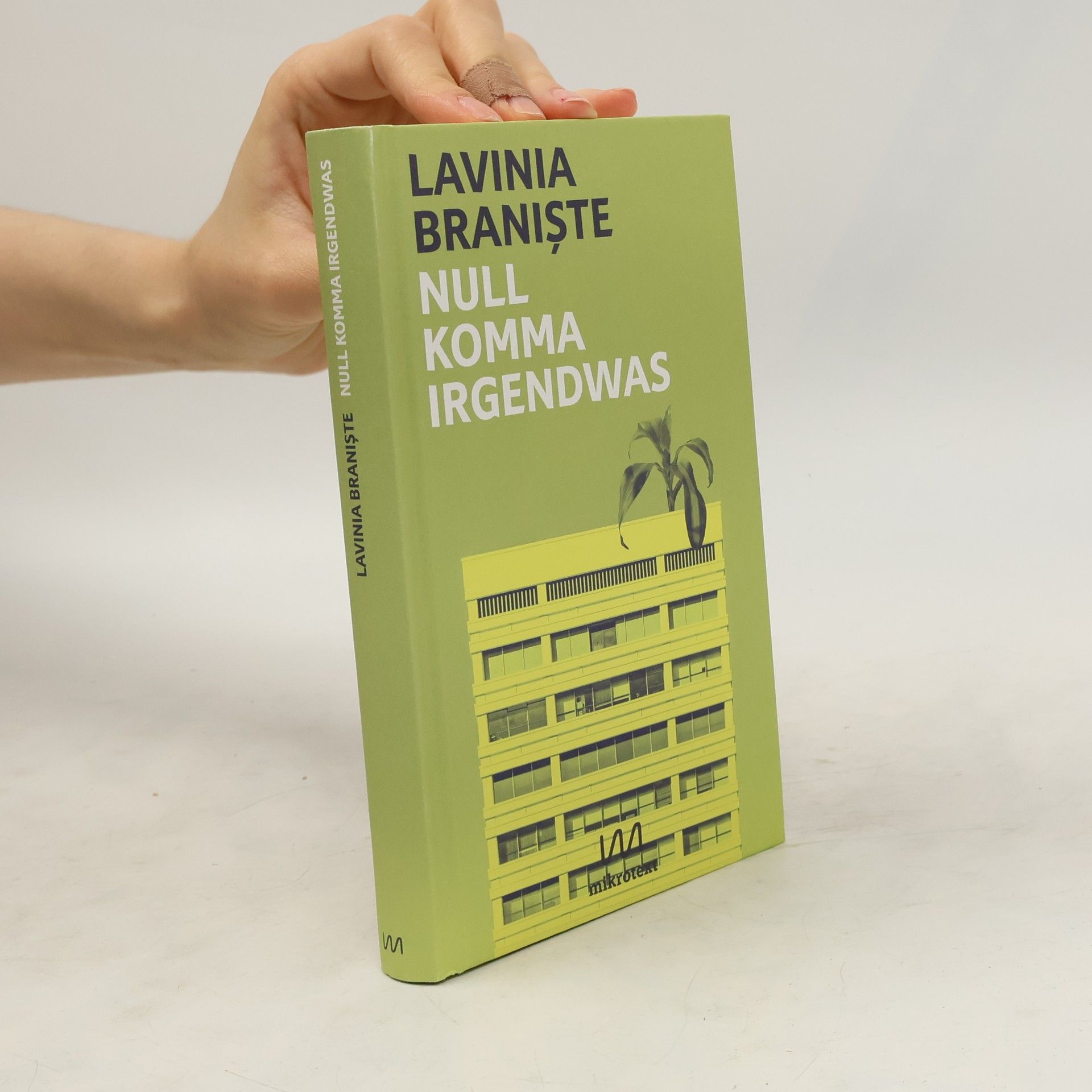 Lavinia Branis te Null Komma Irgendwas