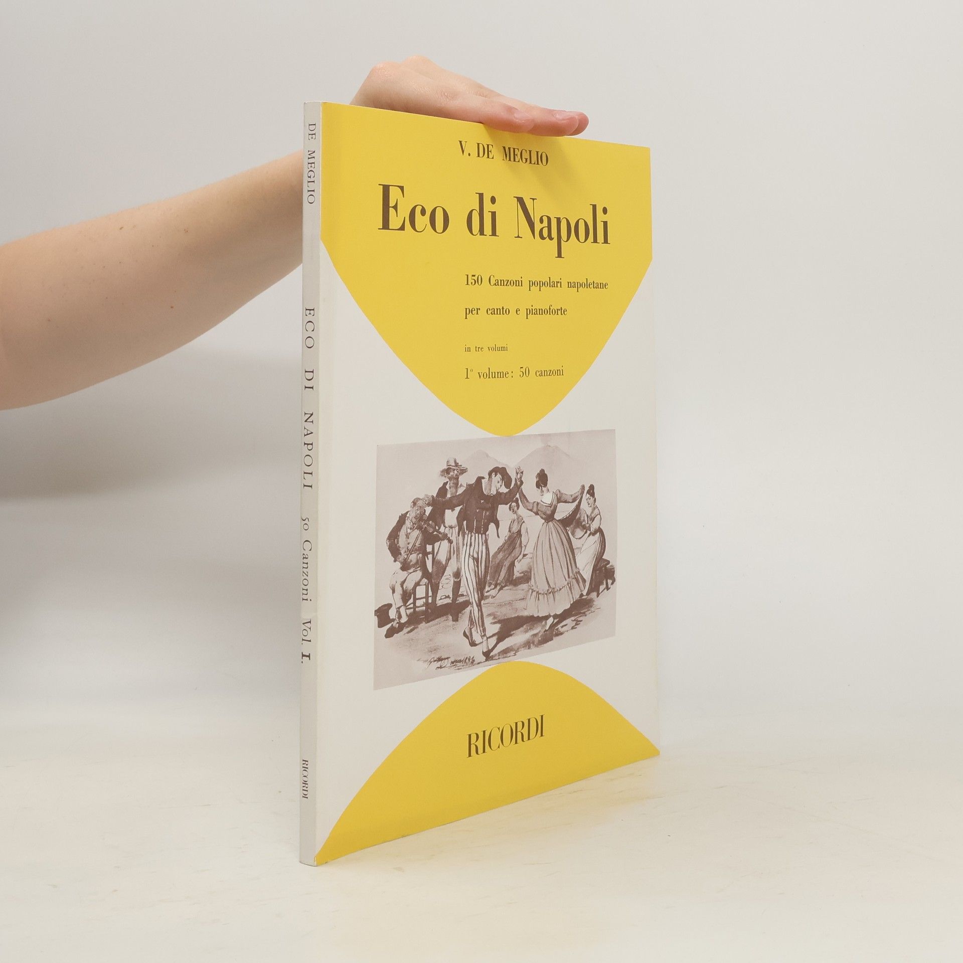 Vincenzo De Meglio Eco di Napoli. Volume 1