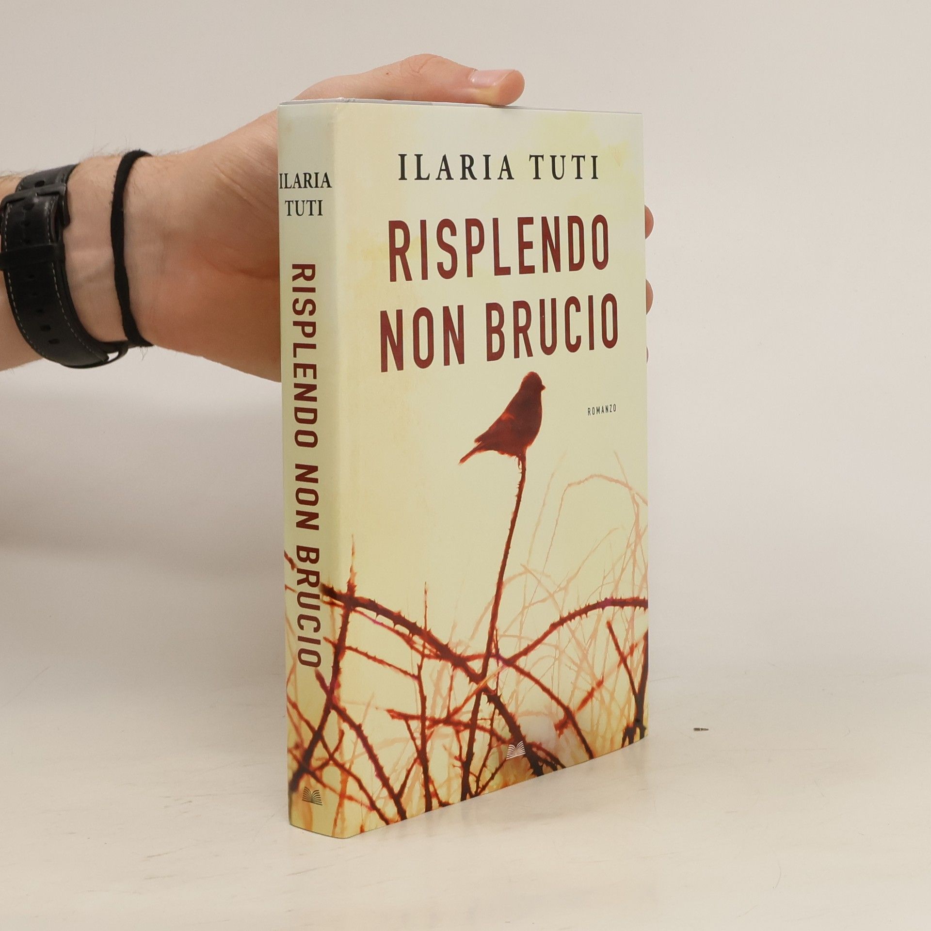 Ilaria Tuti Risplendo non brucio