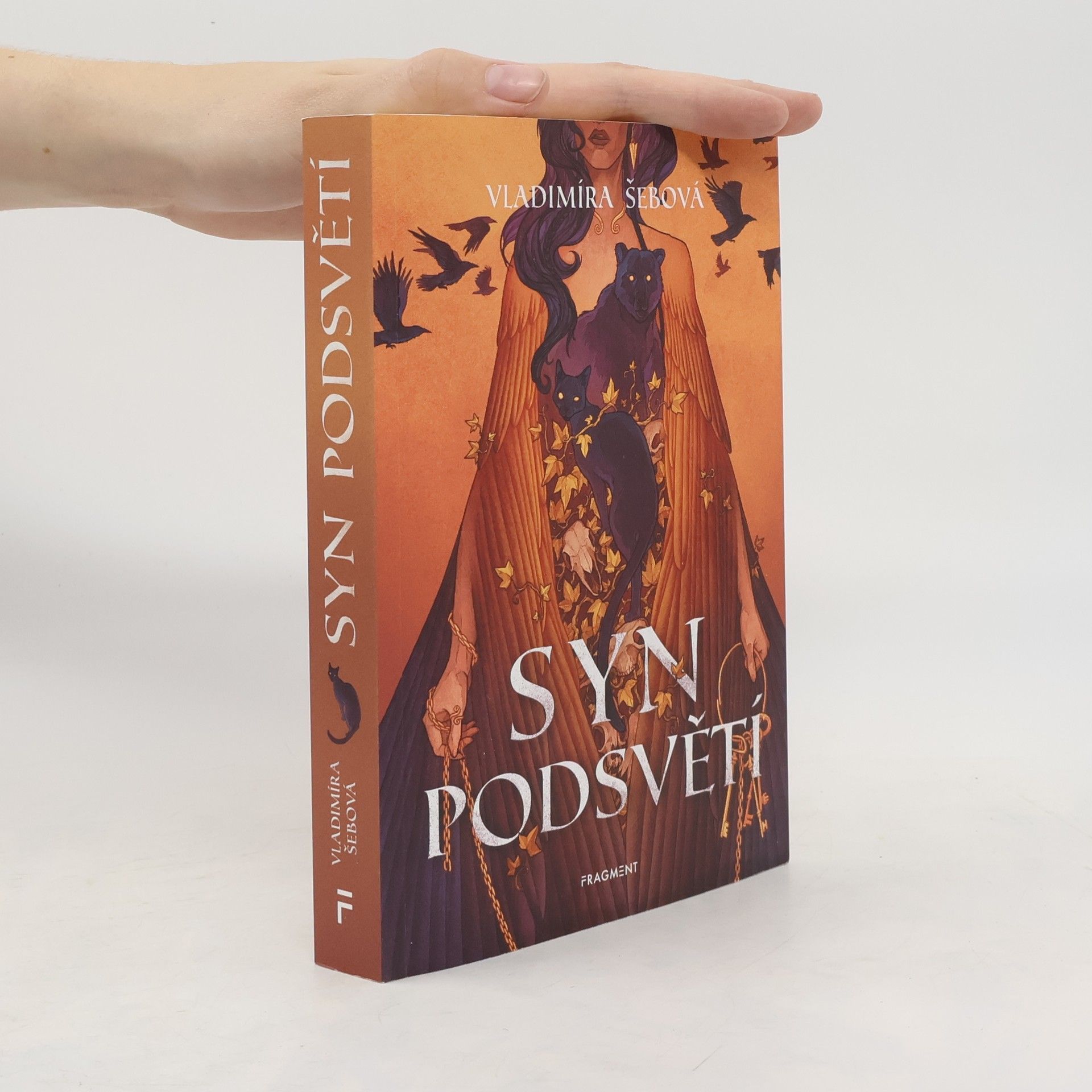 Vladimíra Šebová Syn podsvětí