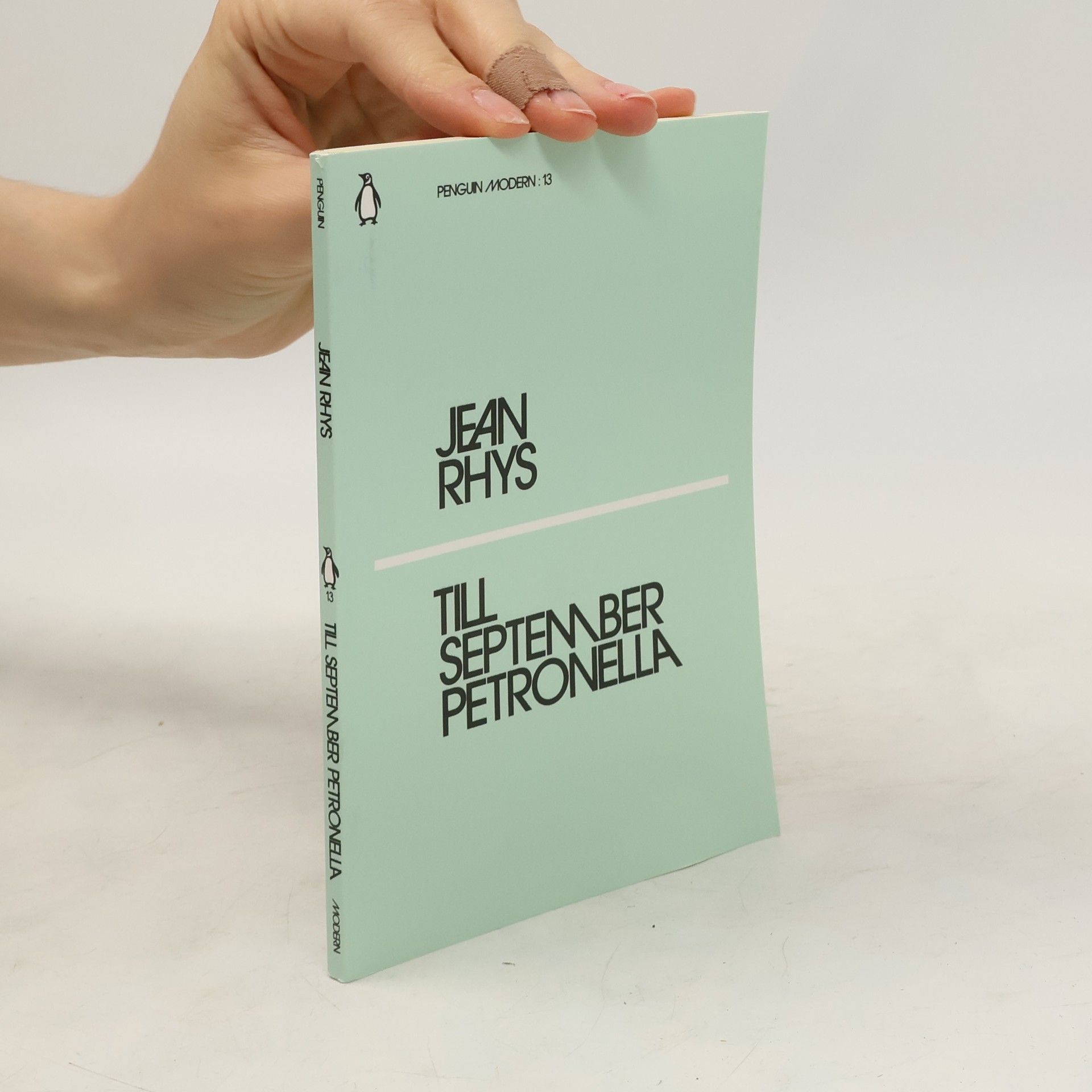 Jean Rhys Till September Petronella
