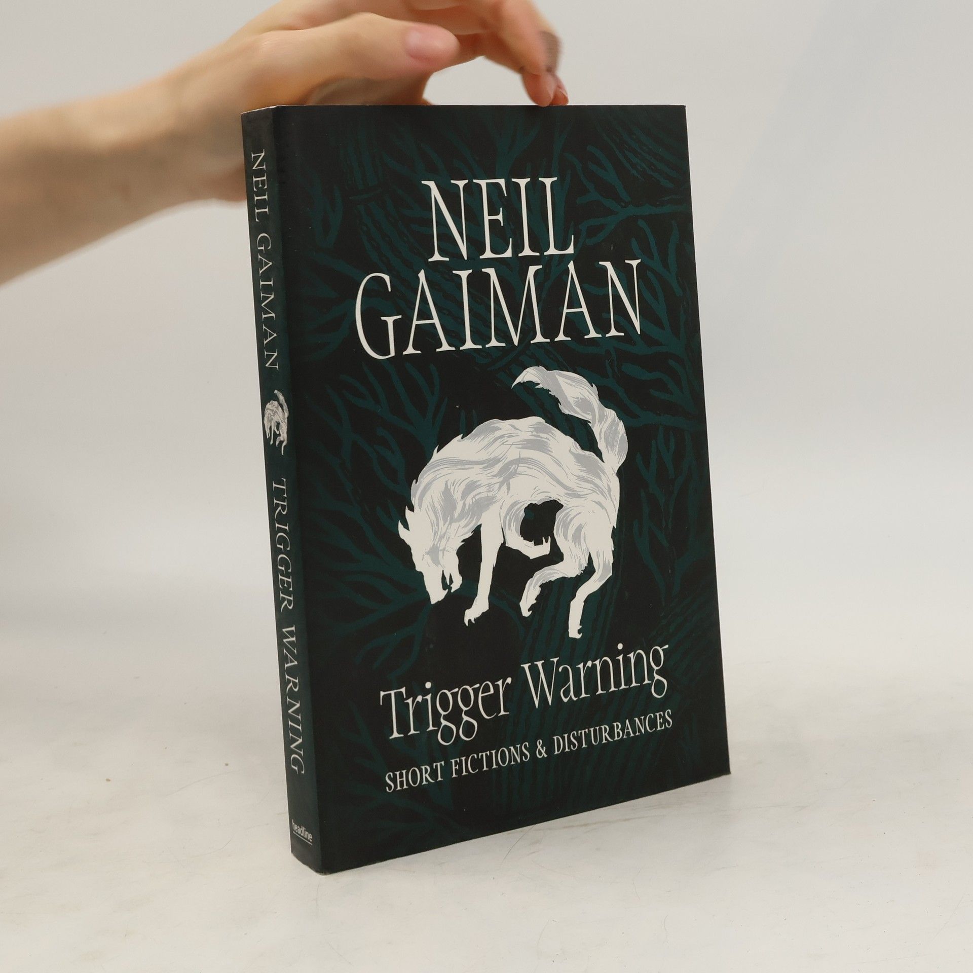 Neil Gaiman Trigger warning : short fictions and disturbances