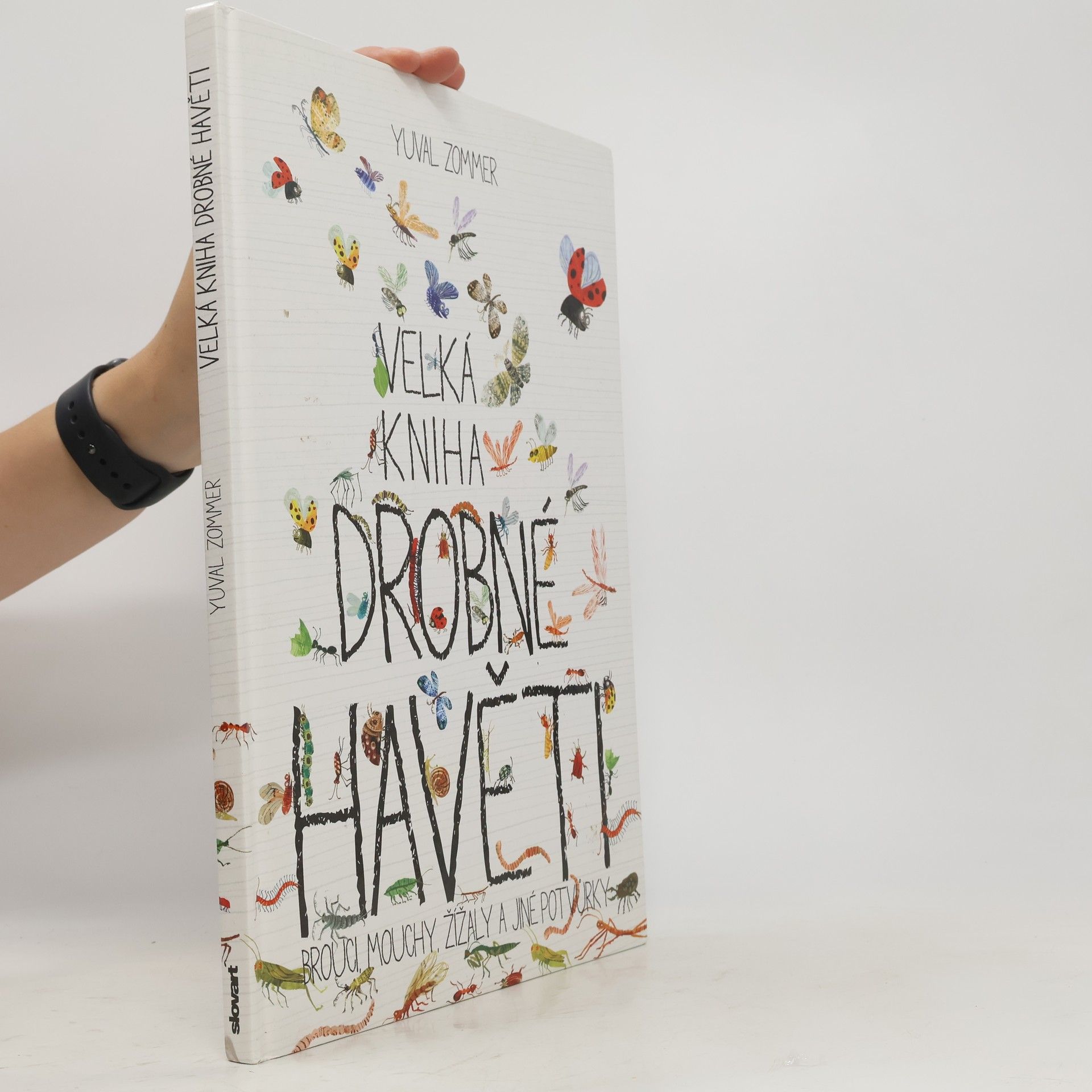 Yuval Zommer Velká kniha drobné havěti. Brouci, mouchy, žížaly a jiné potvůrky