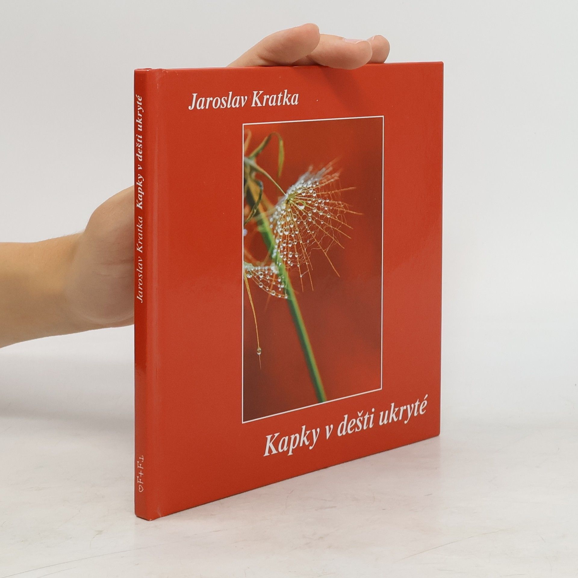 Jaroslav Kratka Kapky v dešti ukryté