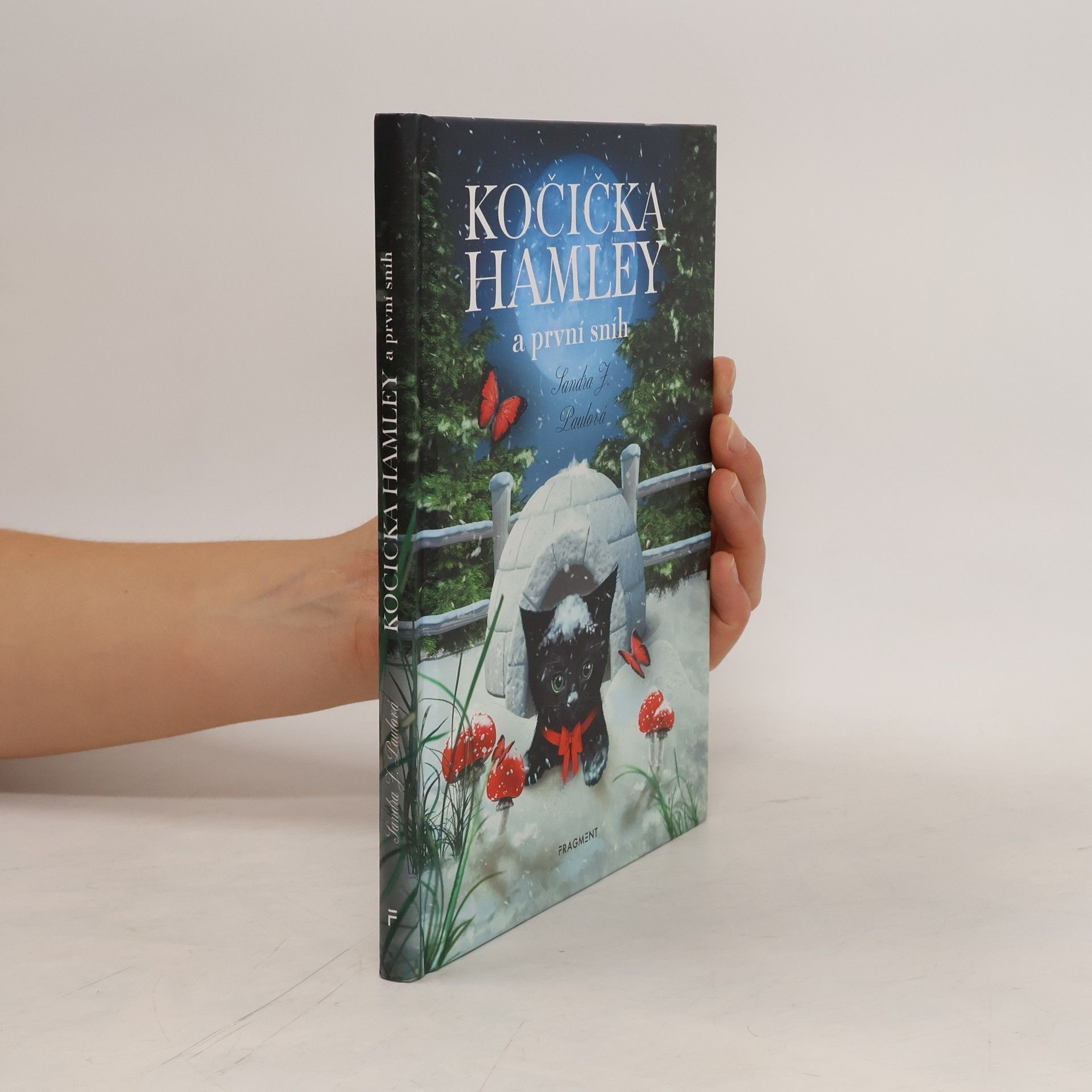 Sandra E Hockenbury Kočička Hamley a první sníh