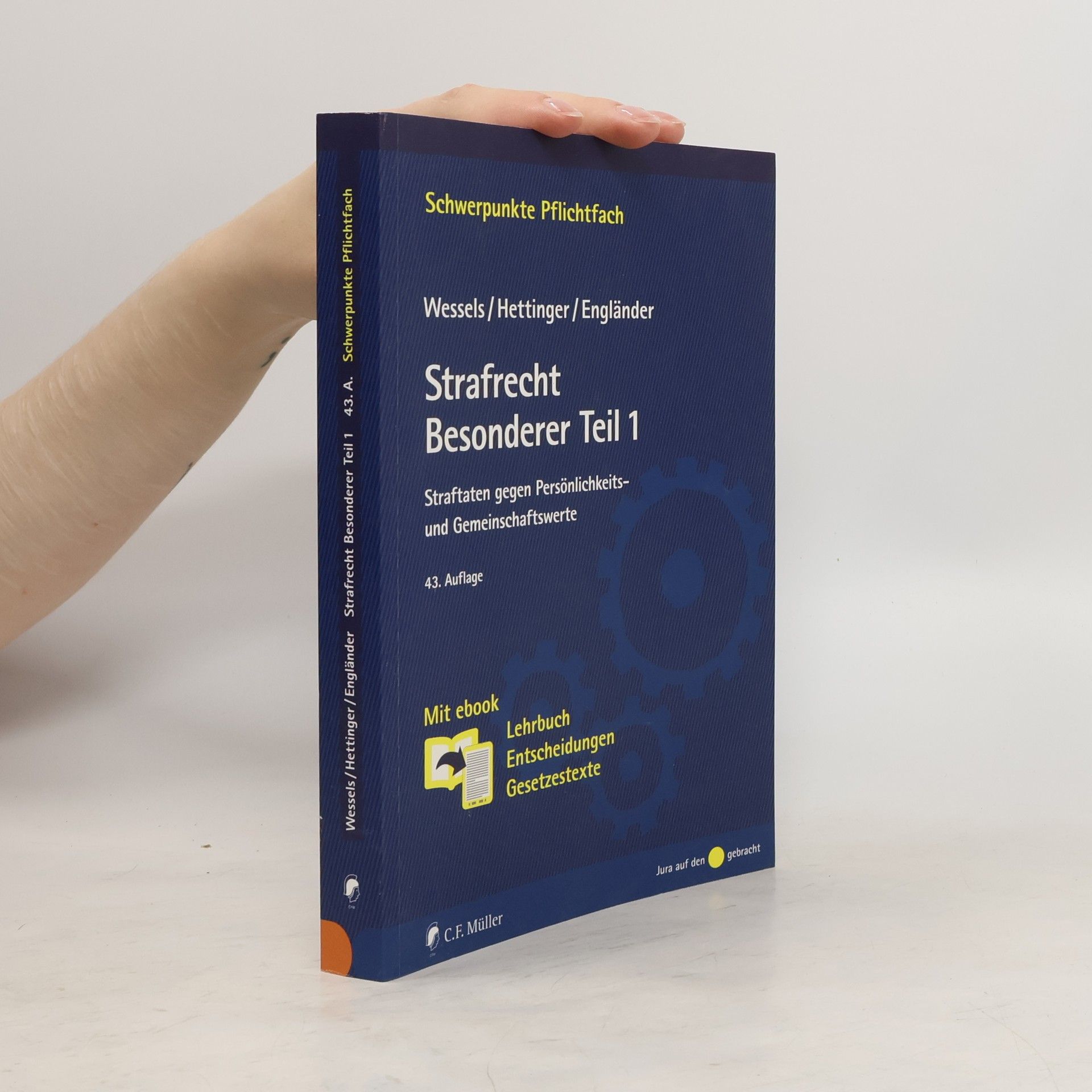 Michael Hettinger Strafrecht Besonderer Teil 1