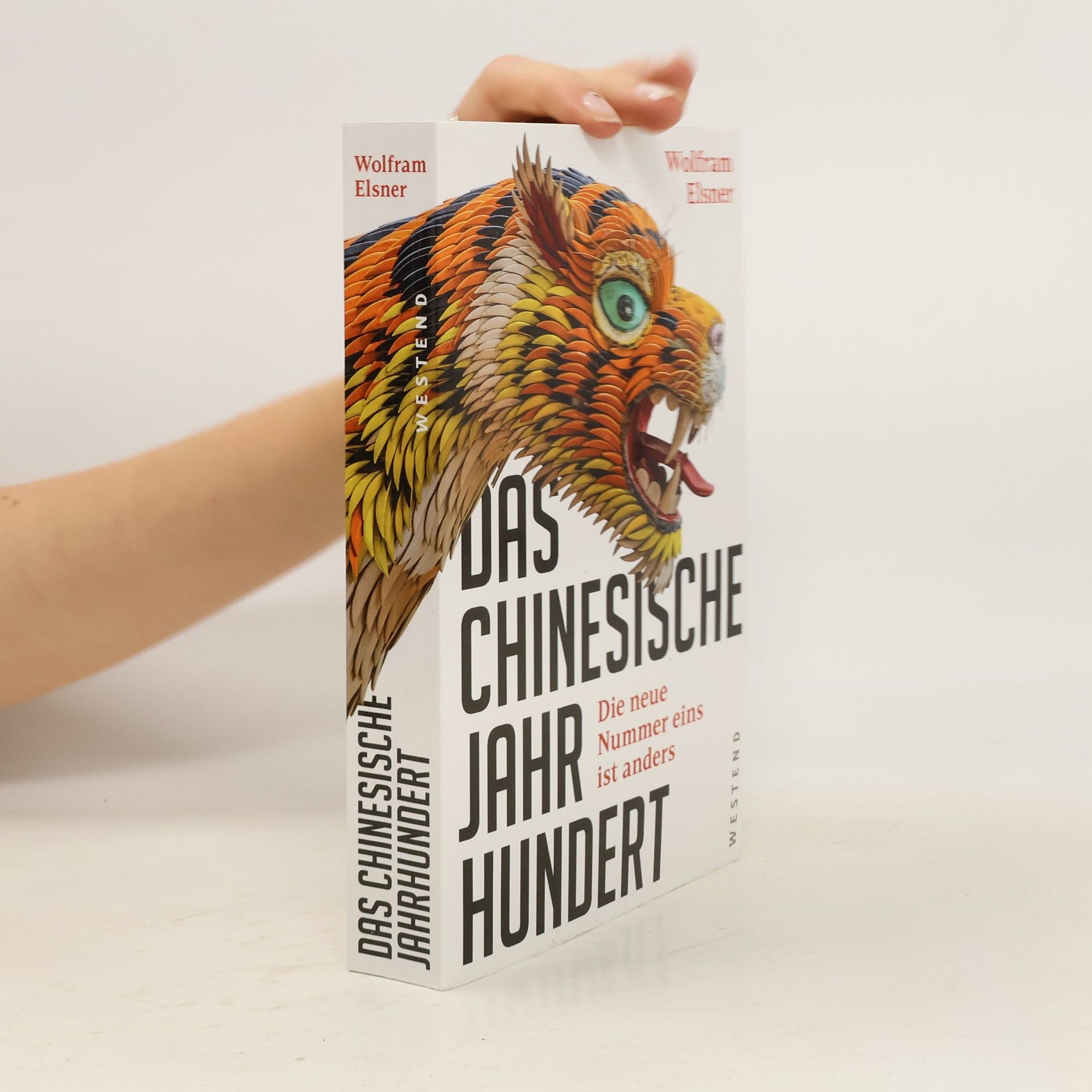 Wolfram Elsner Das chinesische Jahrhundert