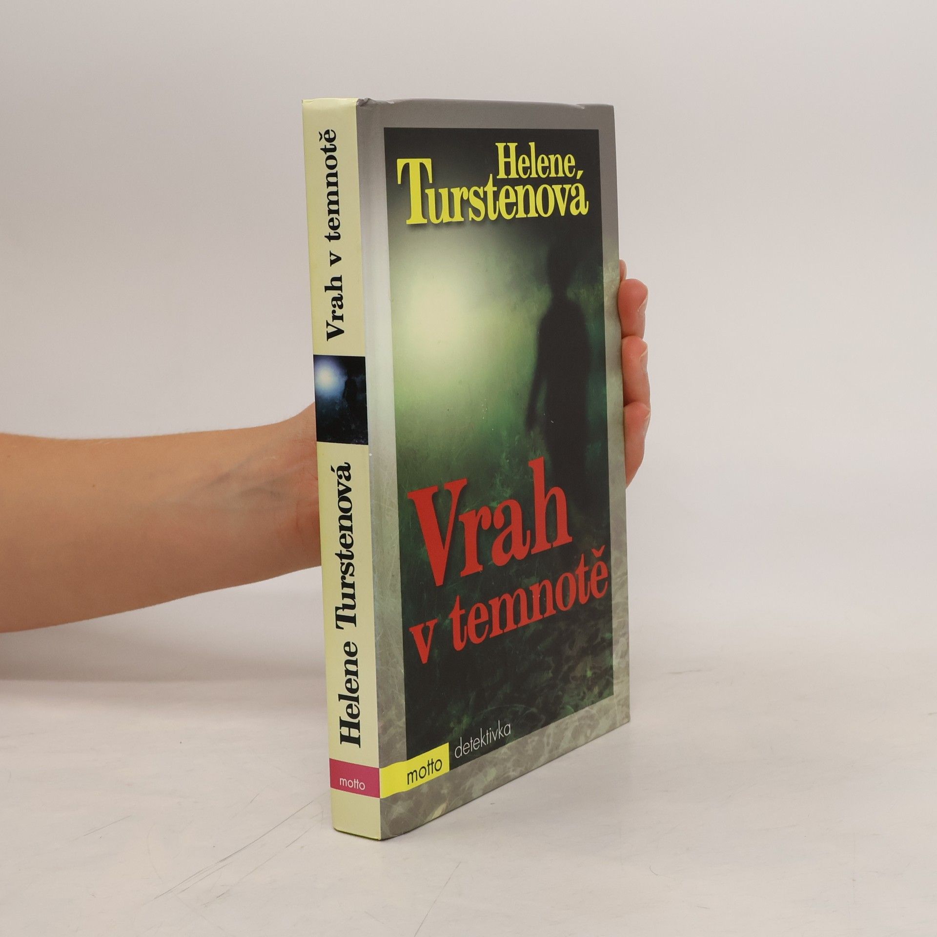 Helene Tursten Vrah v temnotě