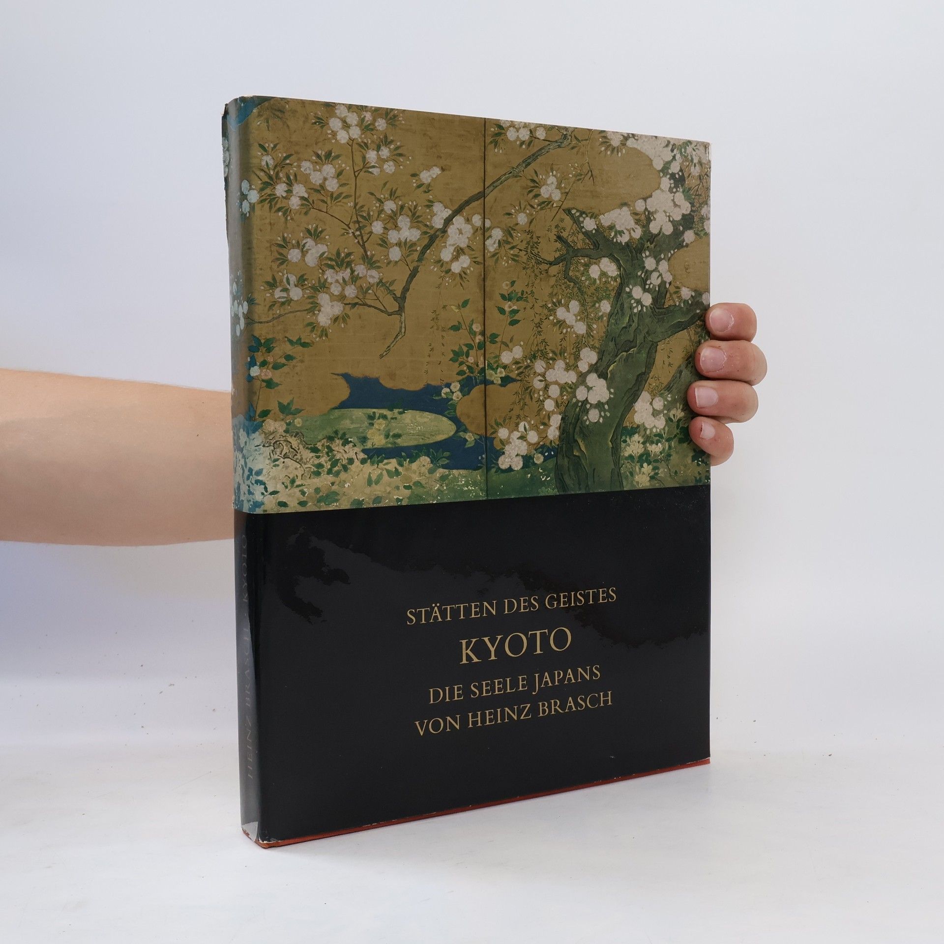 Heinz Brasch Kyoto. Die Seele Japans