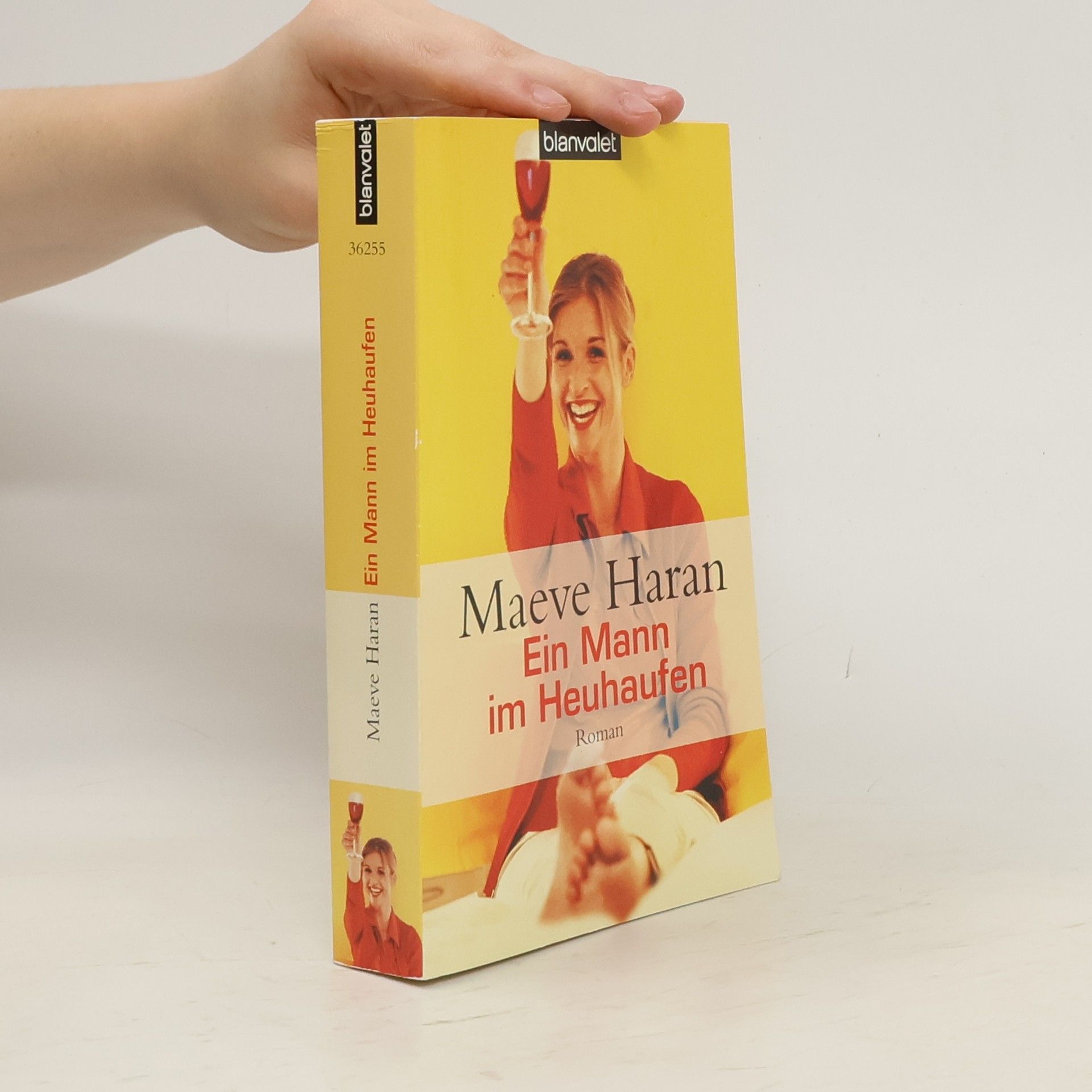 Maeve Haran Ein Mann im Heuhaufen