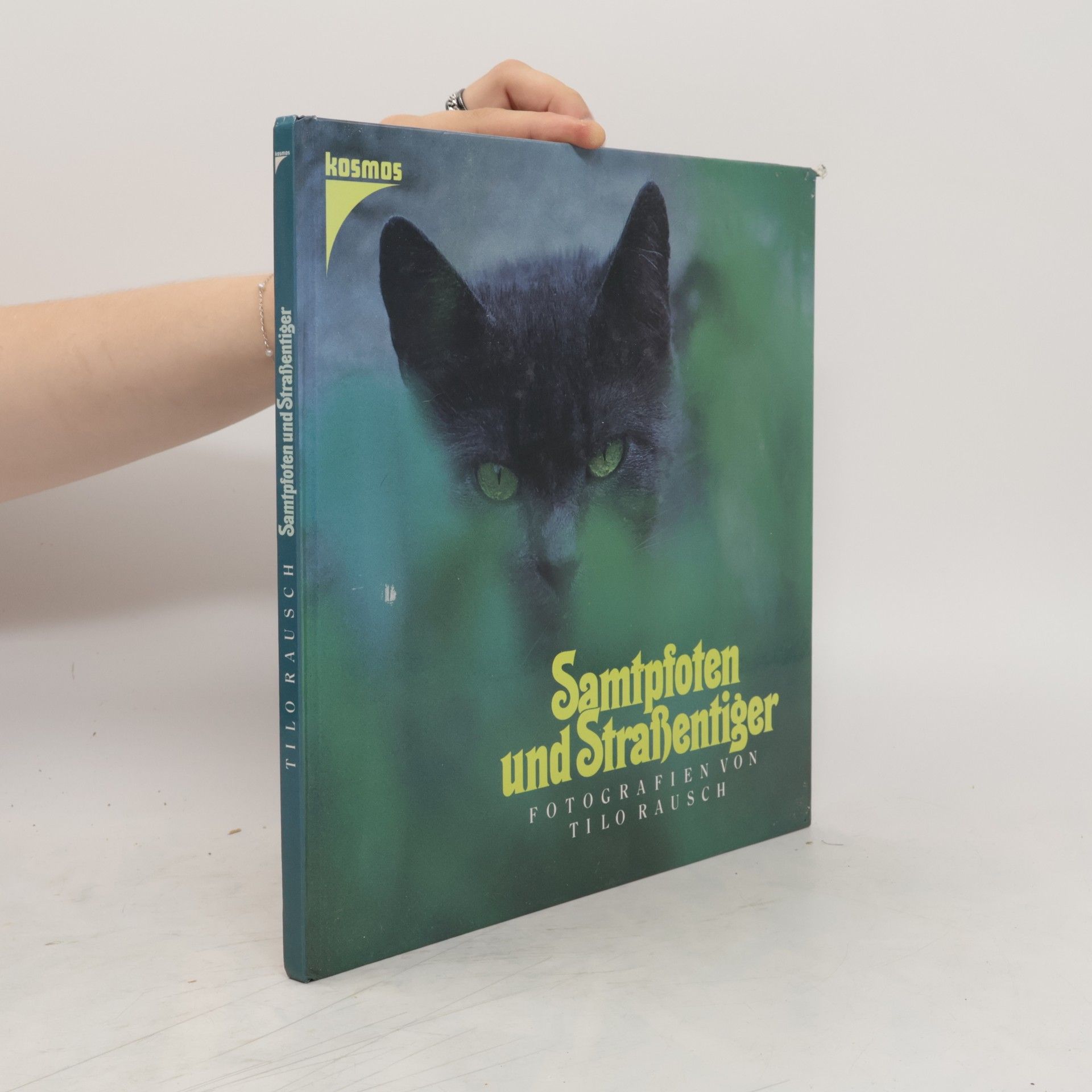 Tilo Rausch Samtpfoten und Strassentiger