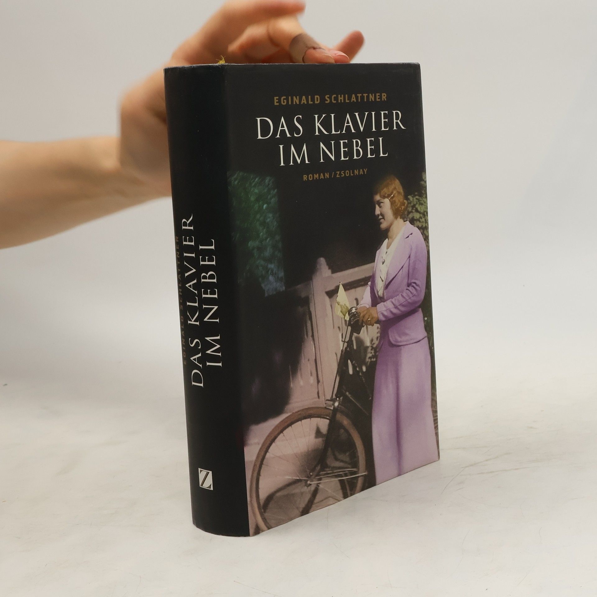Eginald Schlattner Das Klavier im Nebel