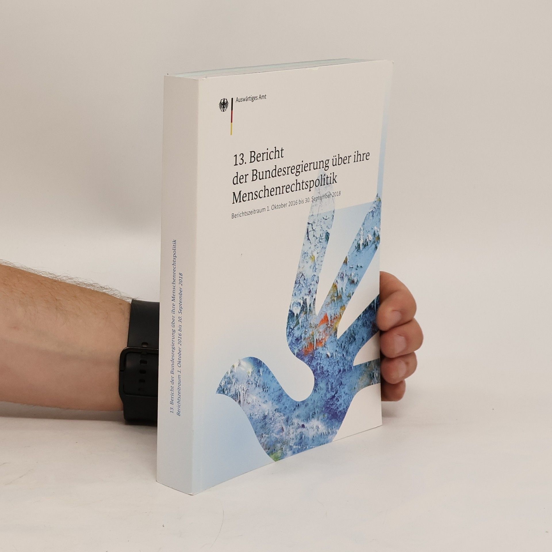 Collectif d'auteurs 13. Bericht der Bundesregierung über ihre Menschenrechtspolitik