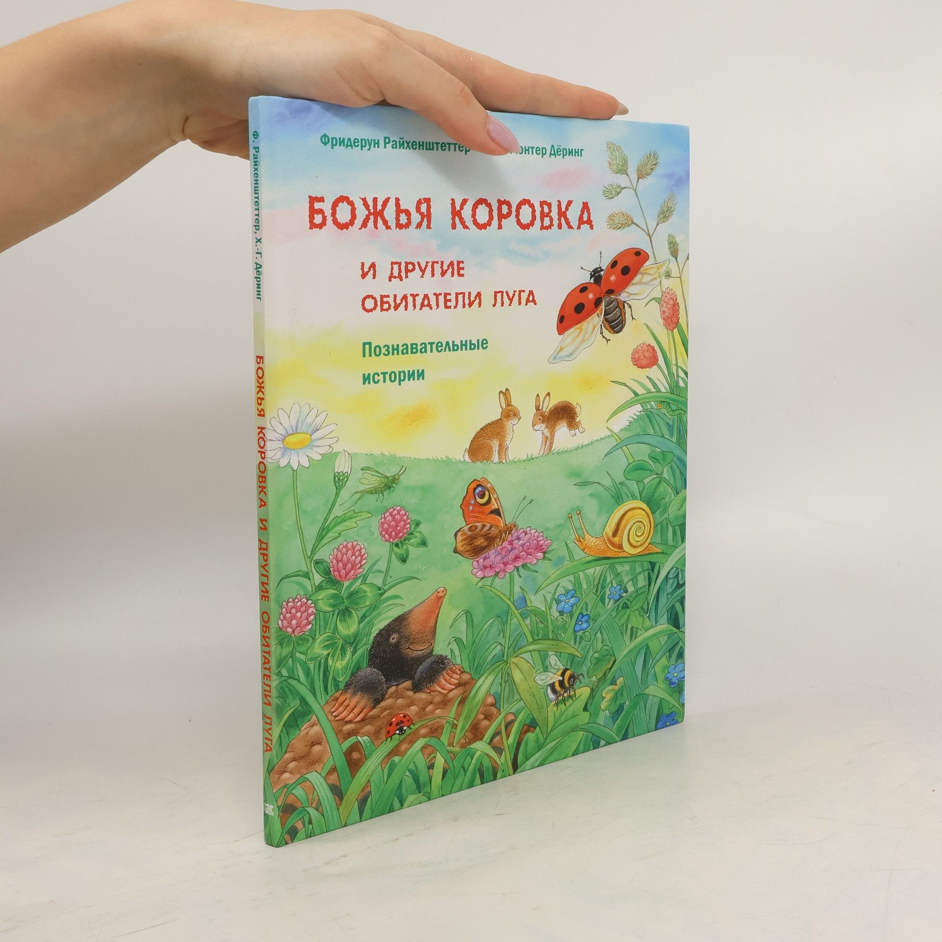 Friederun Reichenstetter Божья коровка И другие обитатели луга
