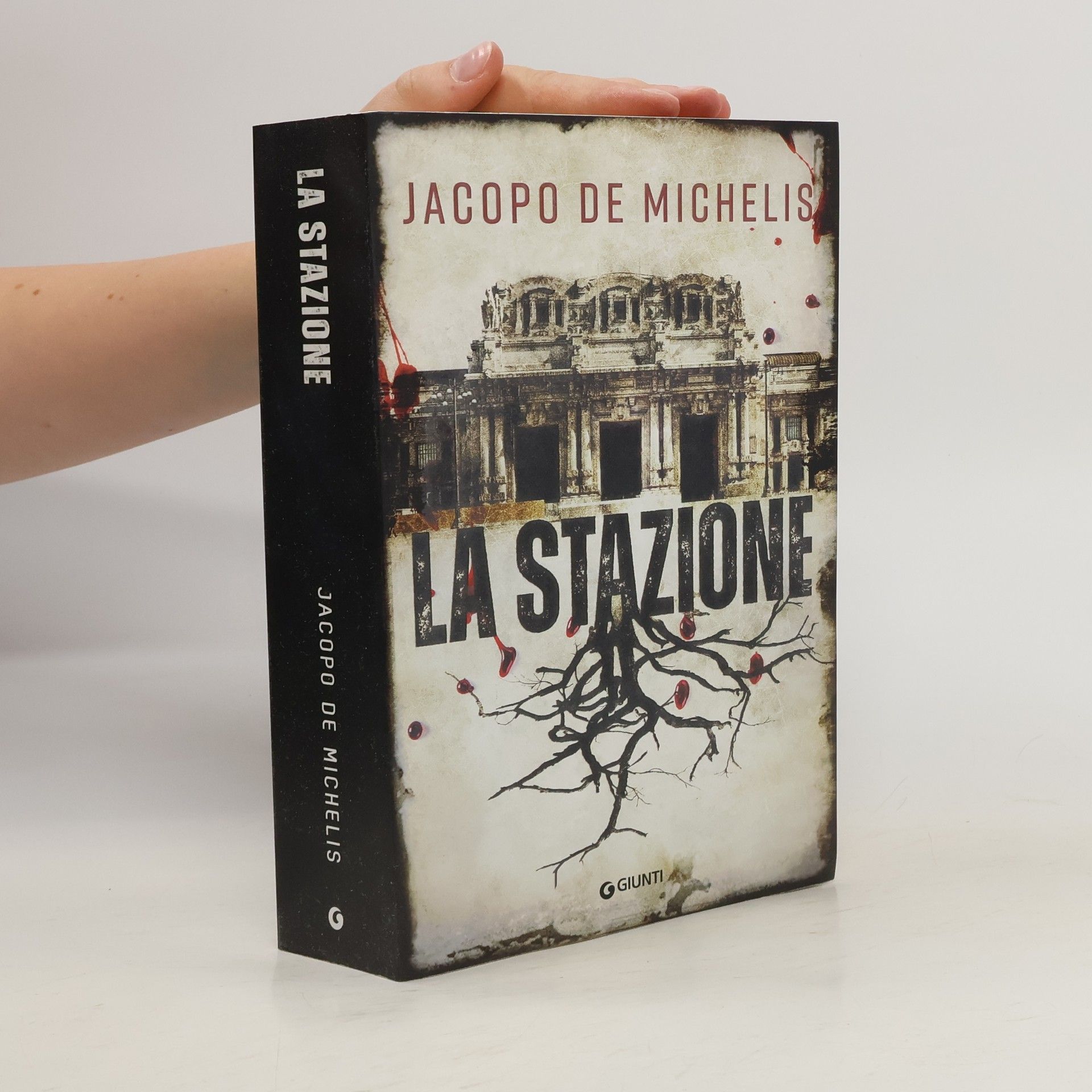 Jacopo De Michelis La stazione