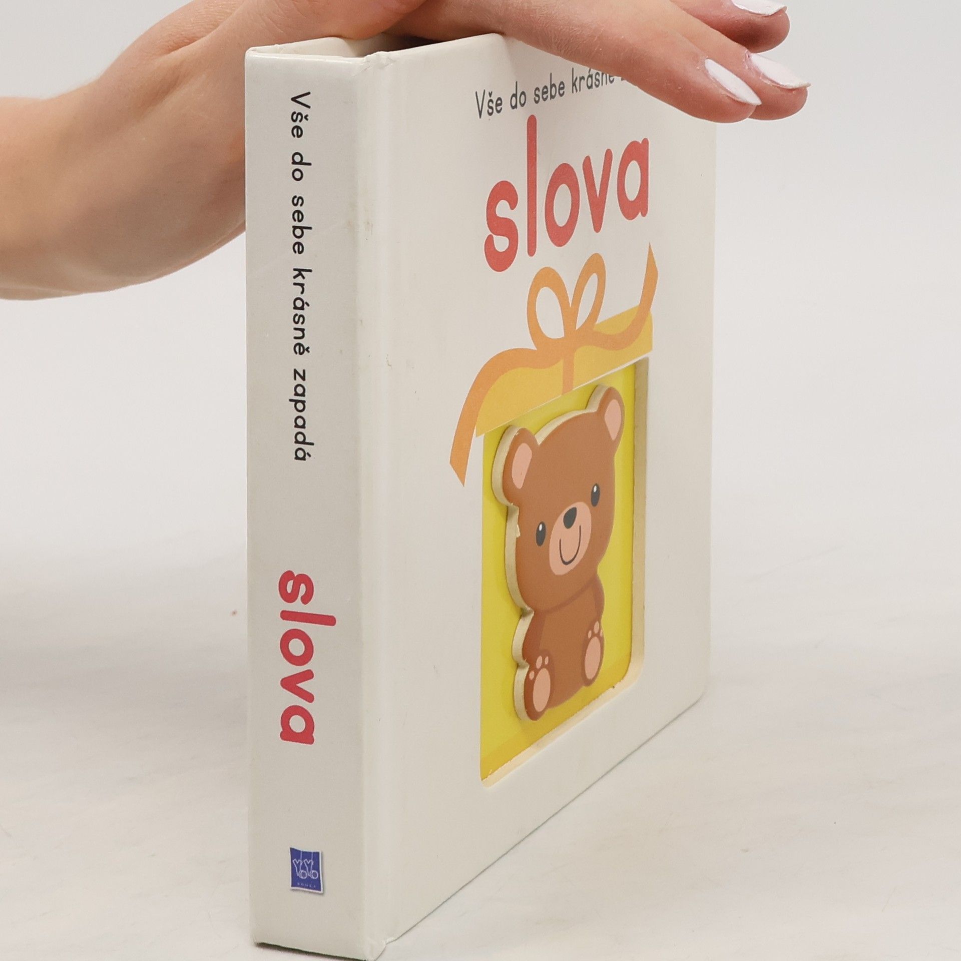 Autorenkollektiv Slova : vše do sebe krásně zapadá