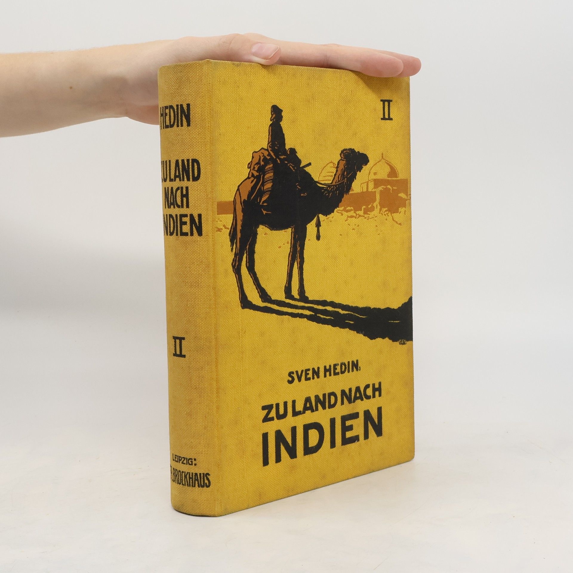 Sven Hedin Zu Land nach Indien II