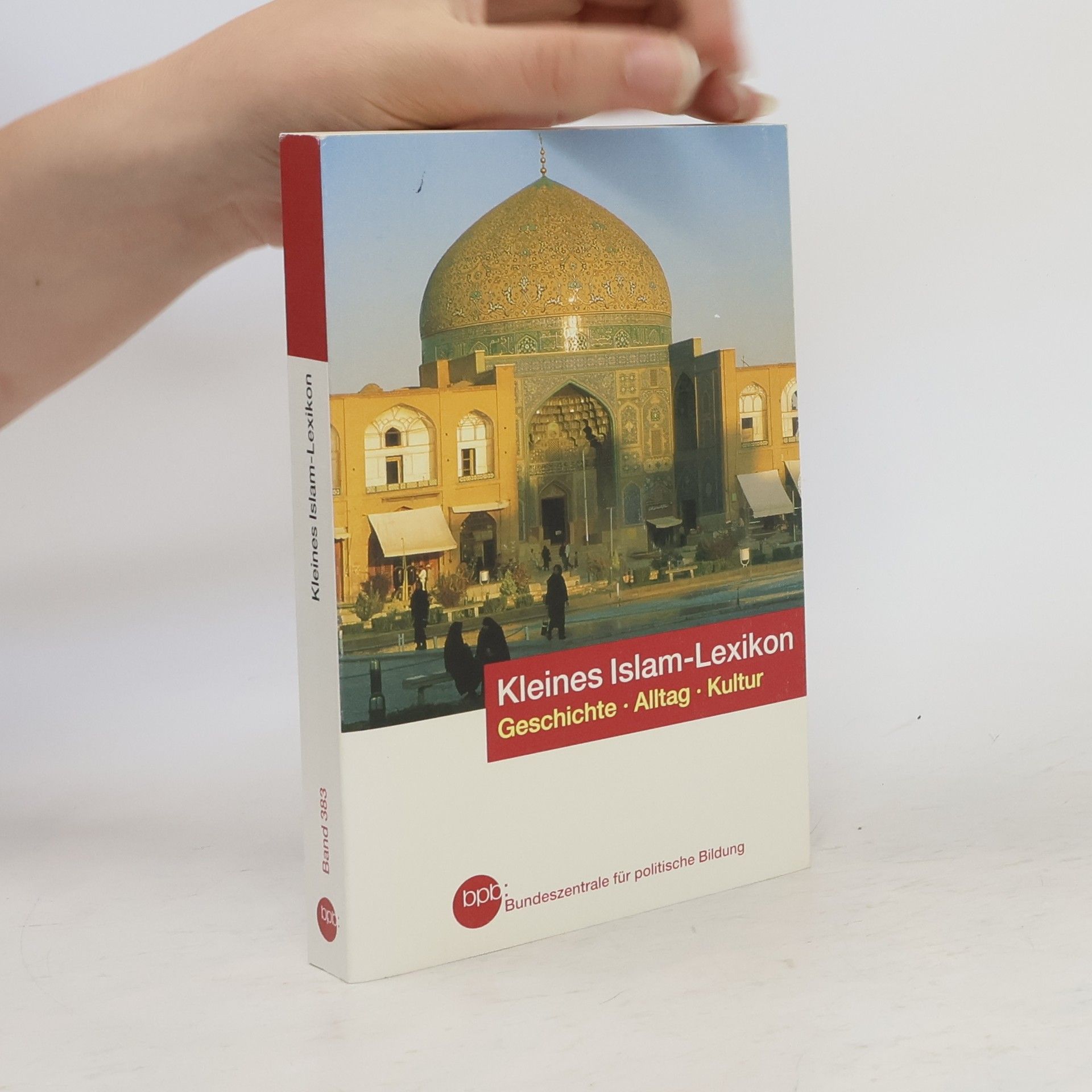 Ralf Elger Kleines Islam-Lexikon